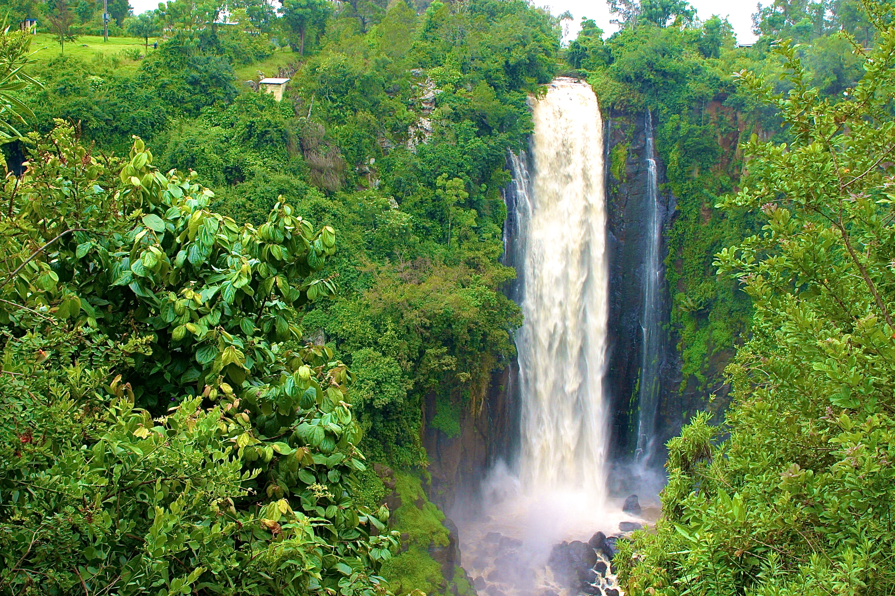 PARC NATIONAL DU LAC NAKURU