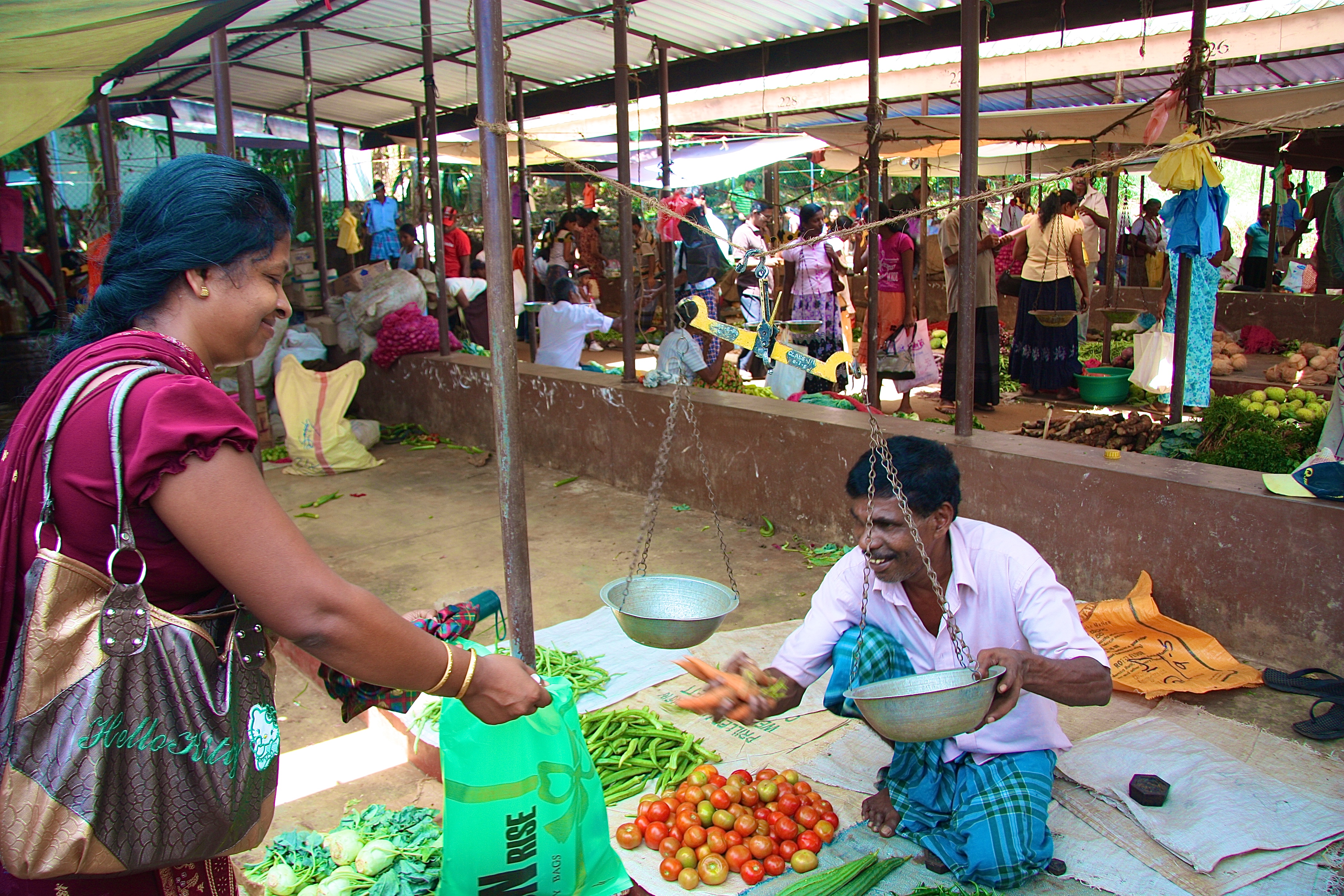 MATALE