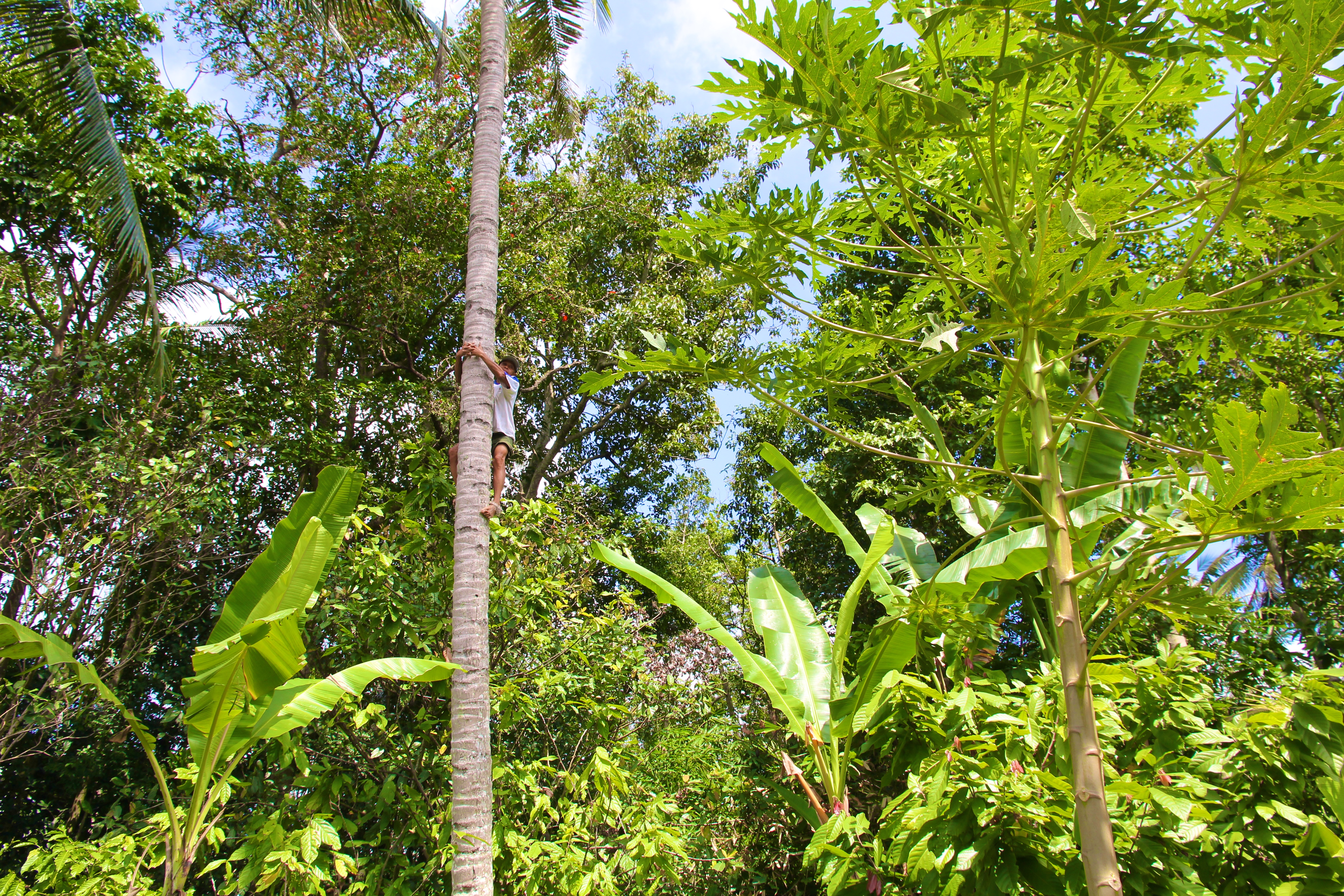 TUNJUK
