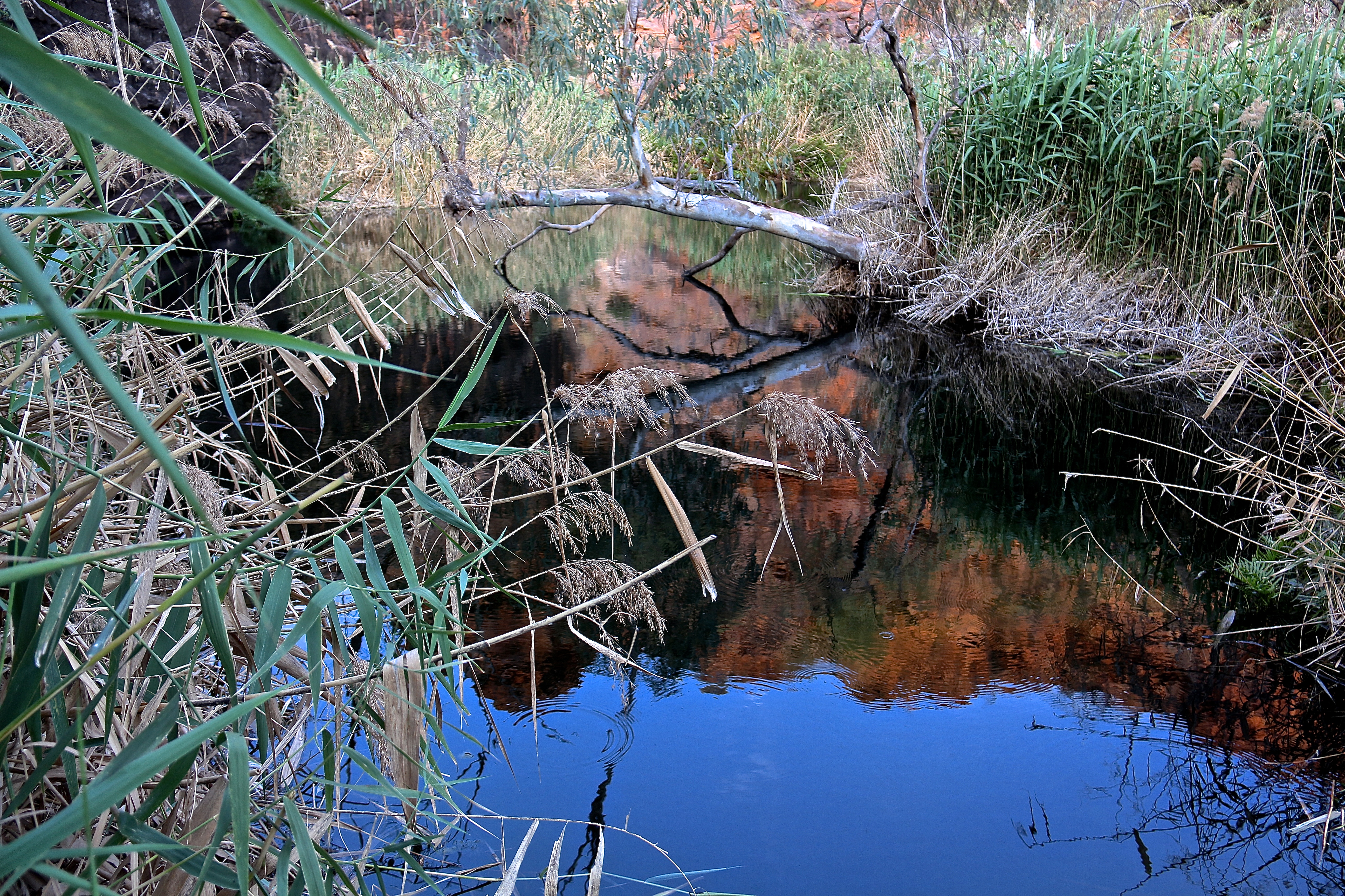 WATARRKA NATIONAL PARK