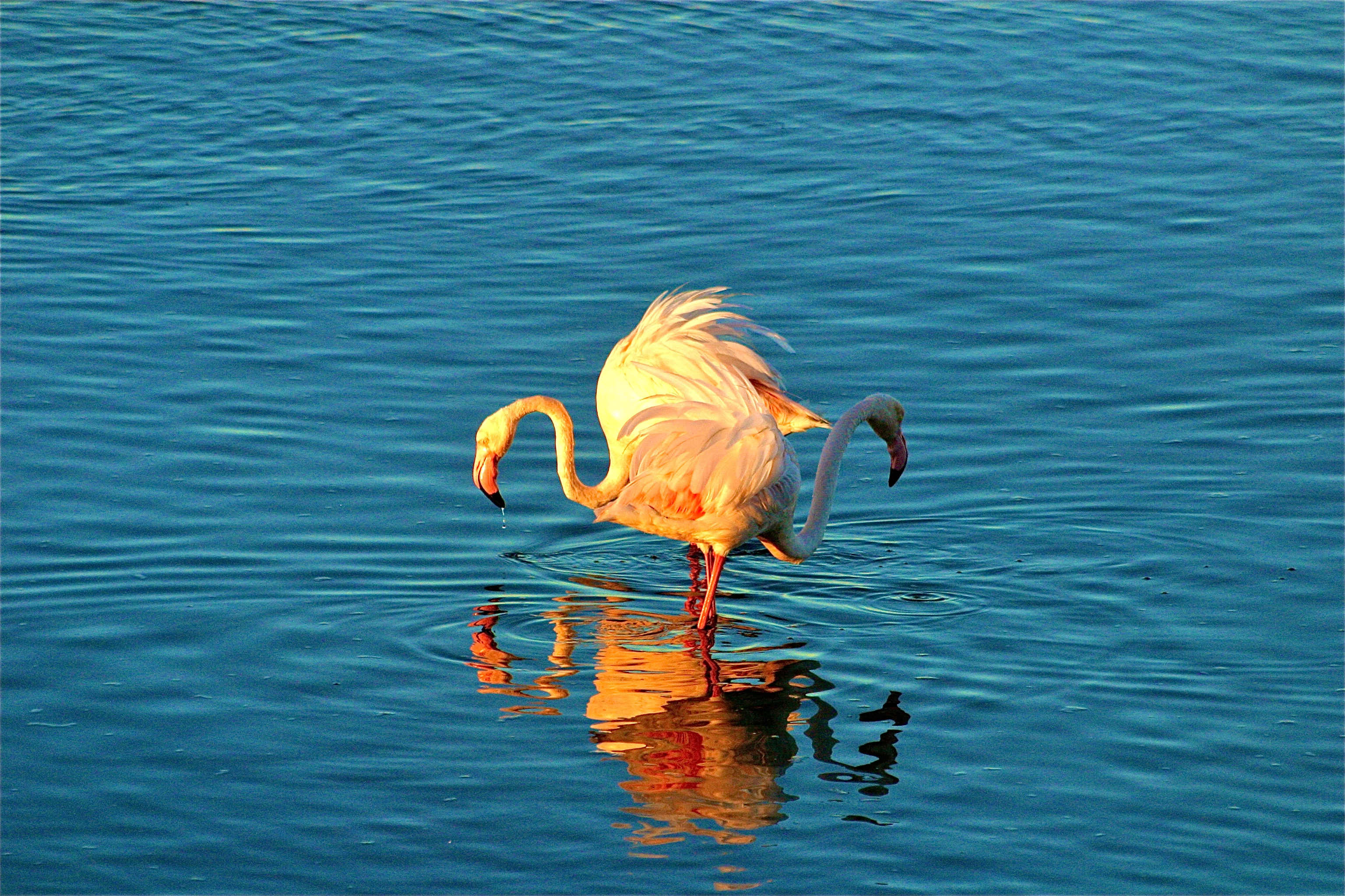 WALVIS BAY