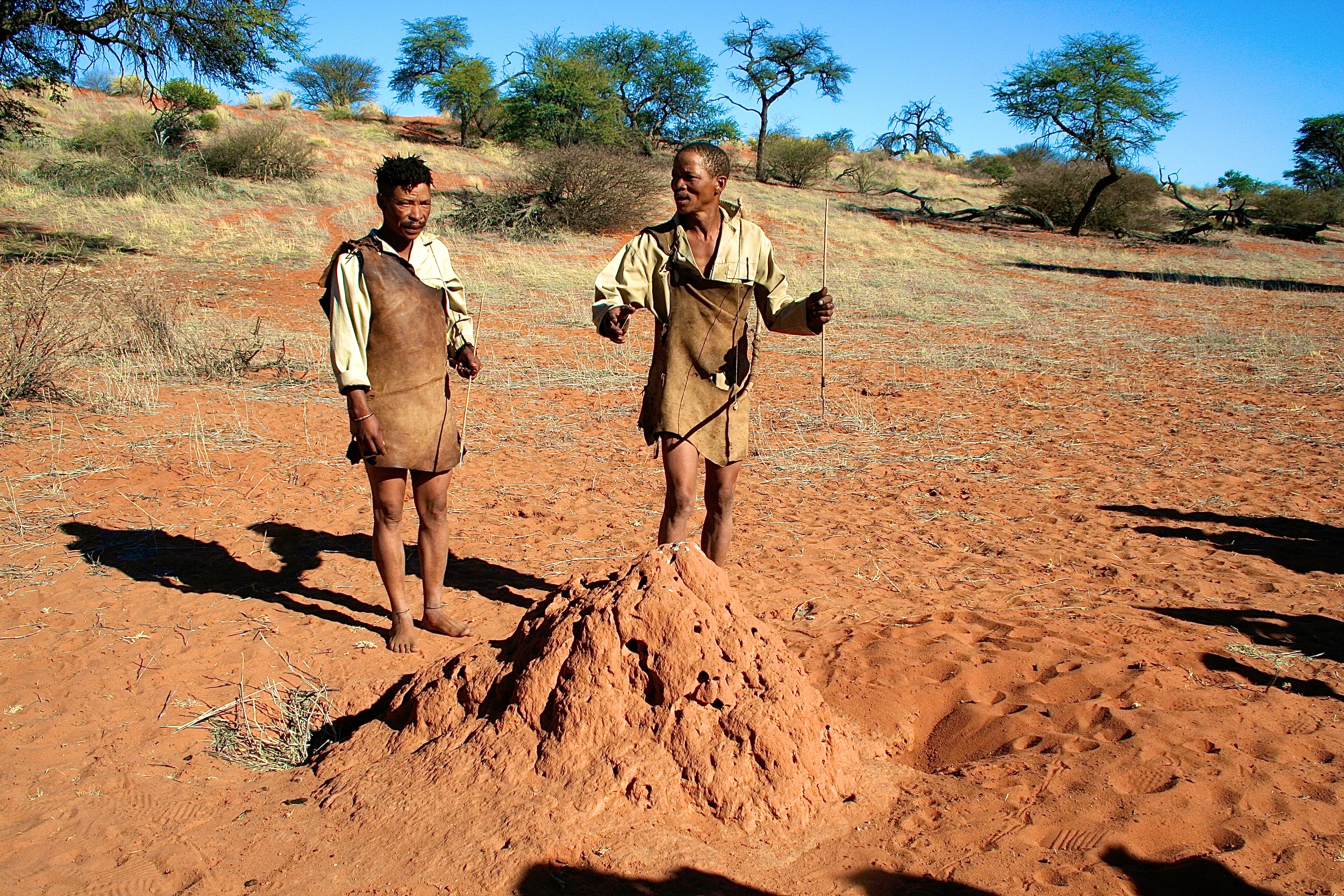 KALAHARI