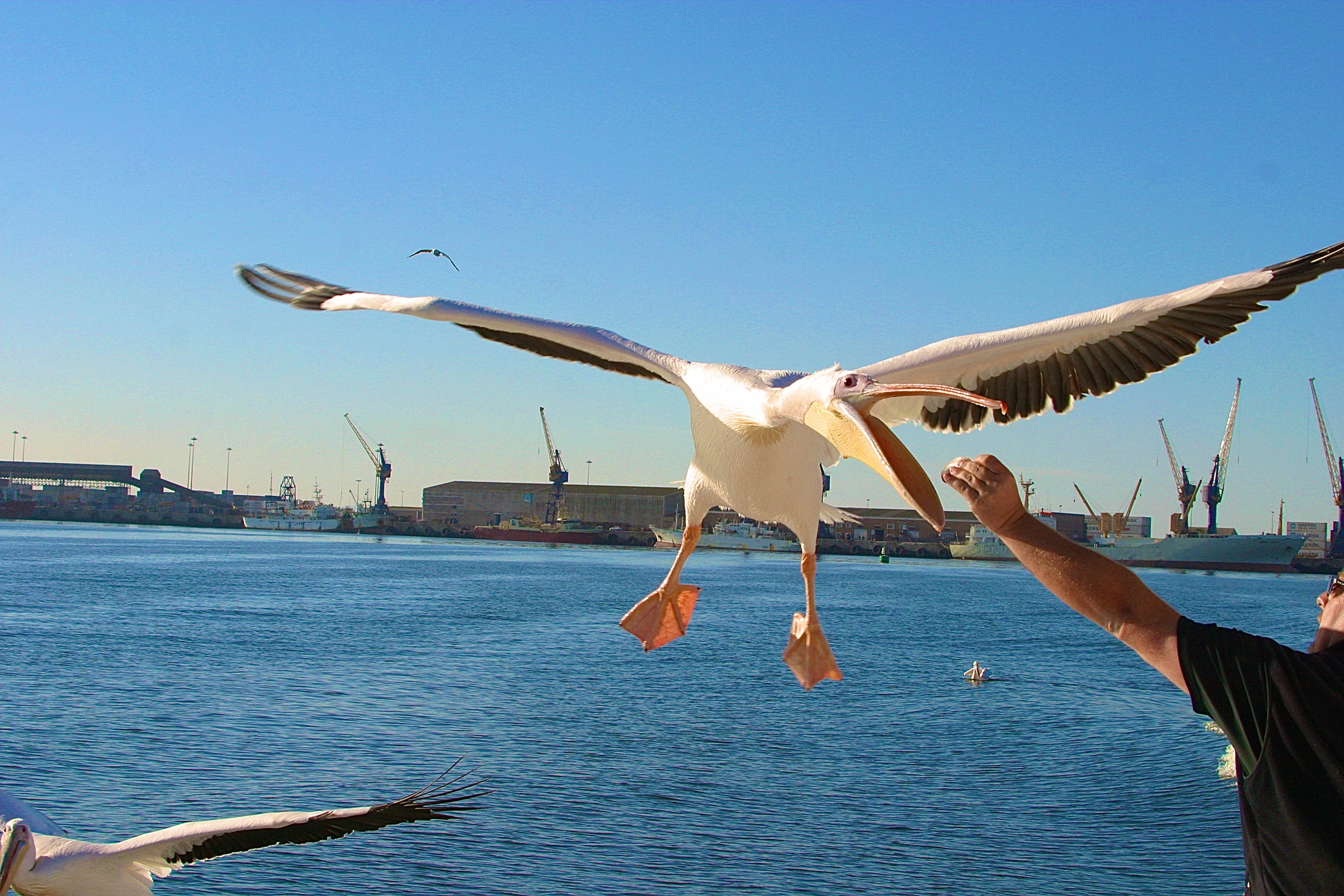 WALVIS BAY