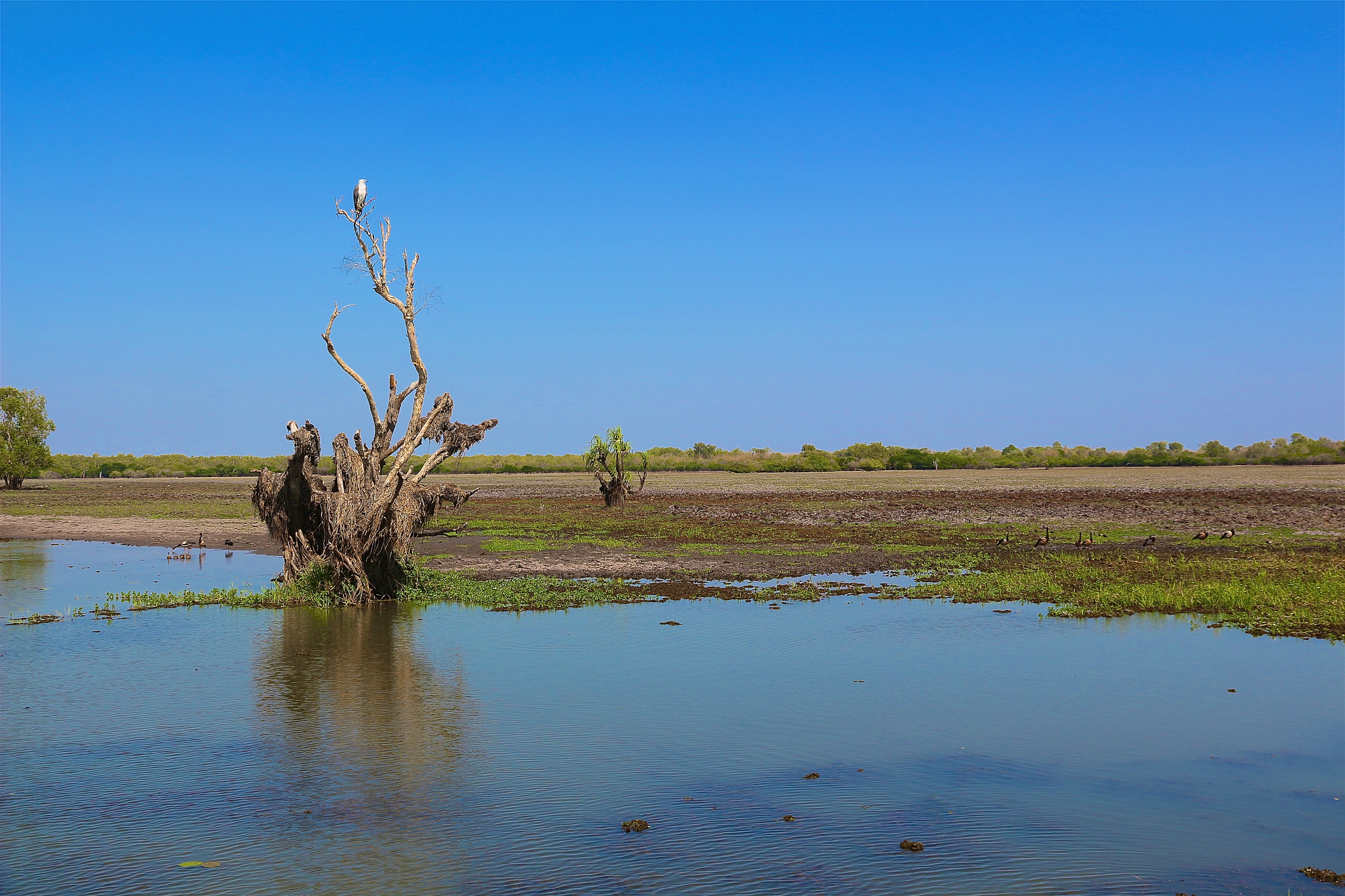 KAKADU NATIONAL PARK