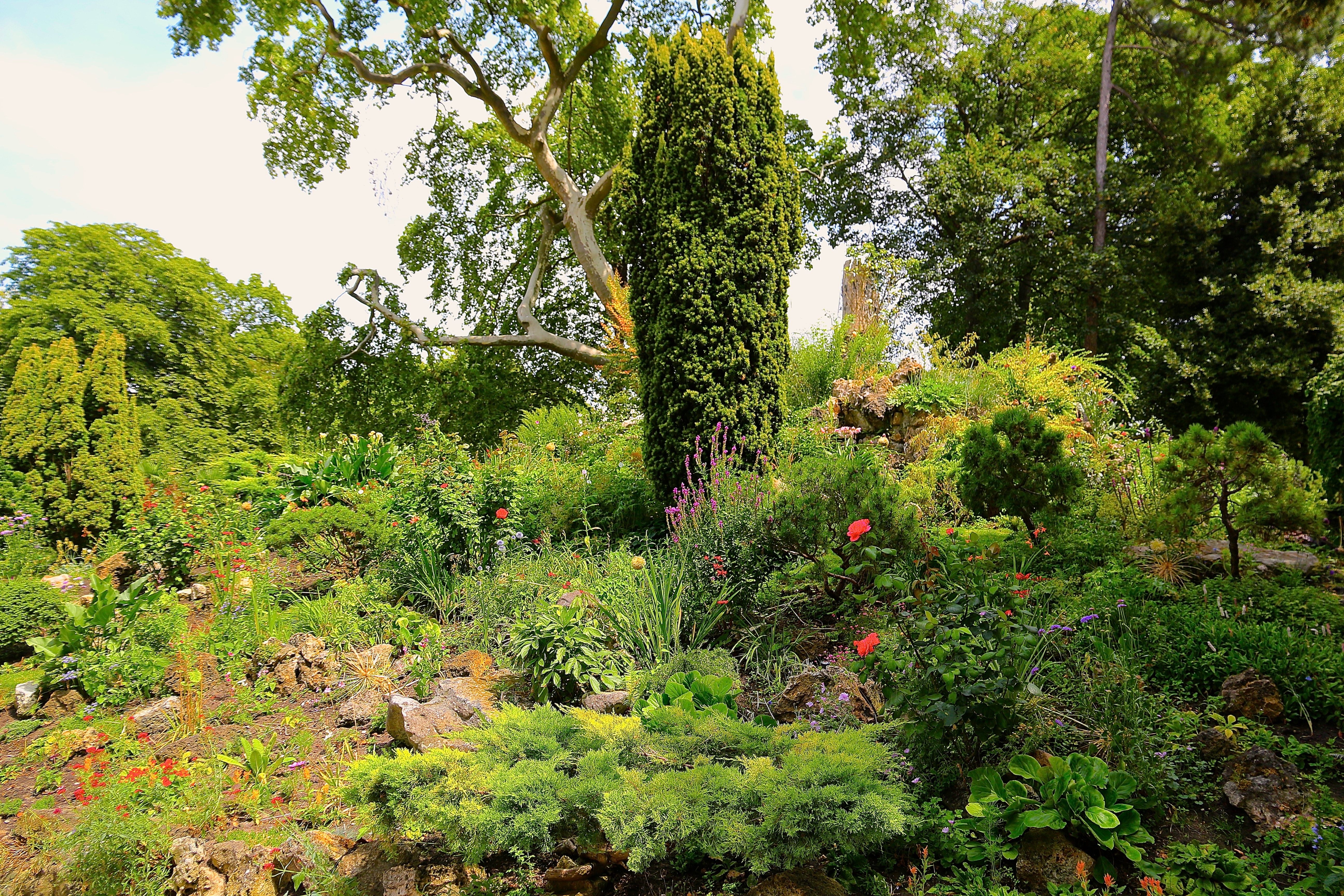 le jardin fleuri du Rocher
