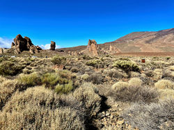 PARC NATIONAL DU TEIDE