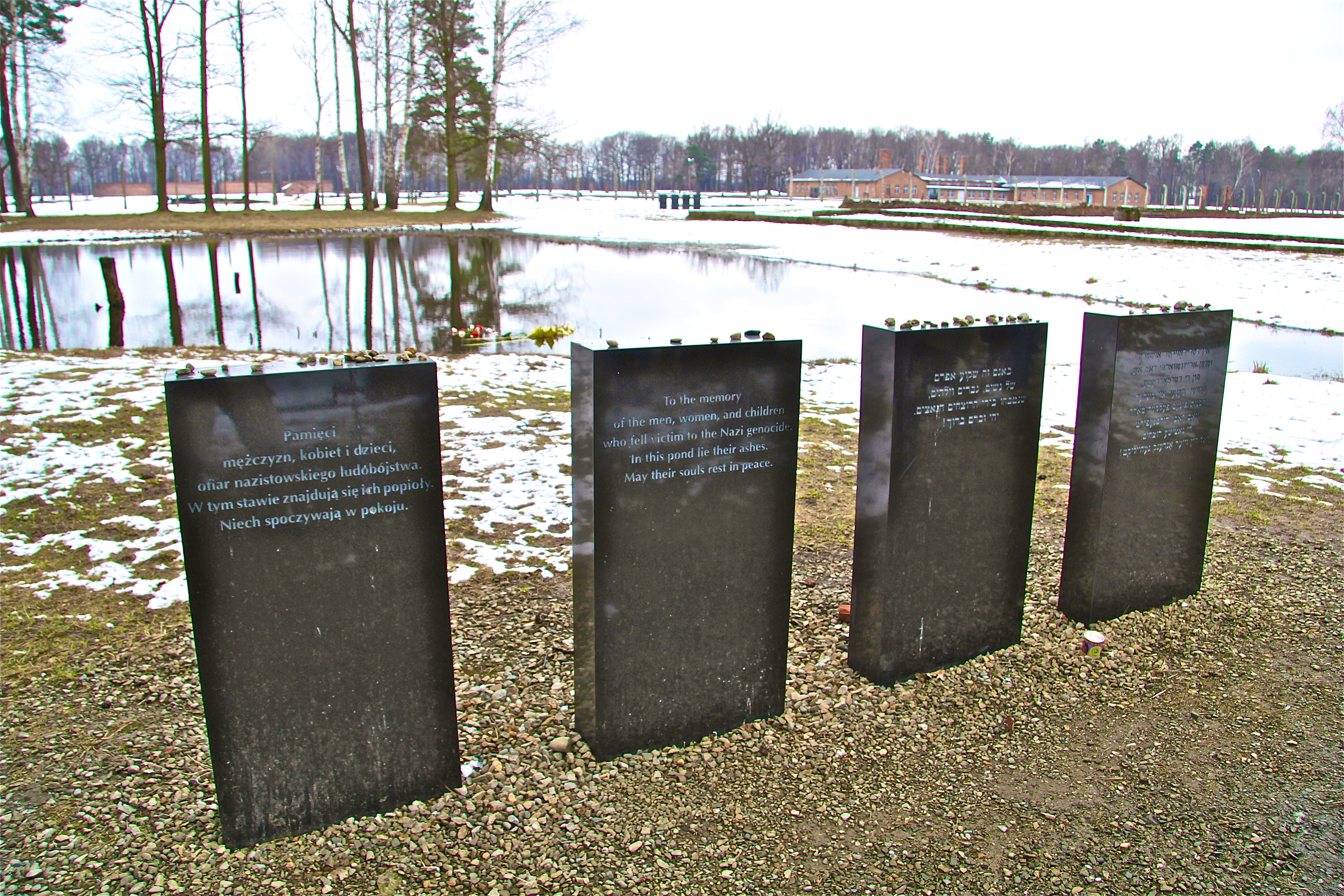 Birkenau, les bûchers