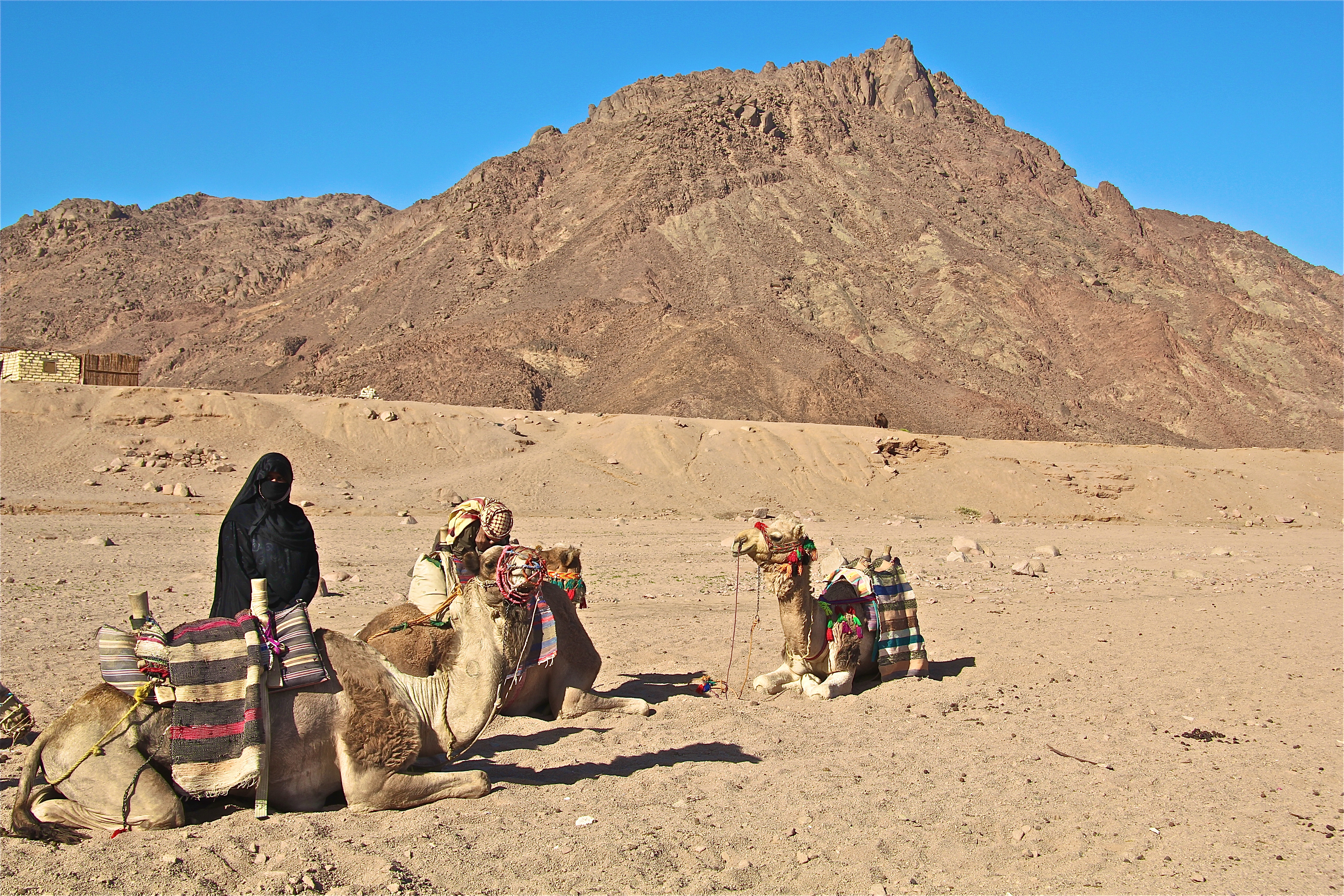 DÉSERT ARABIQUE