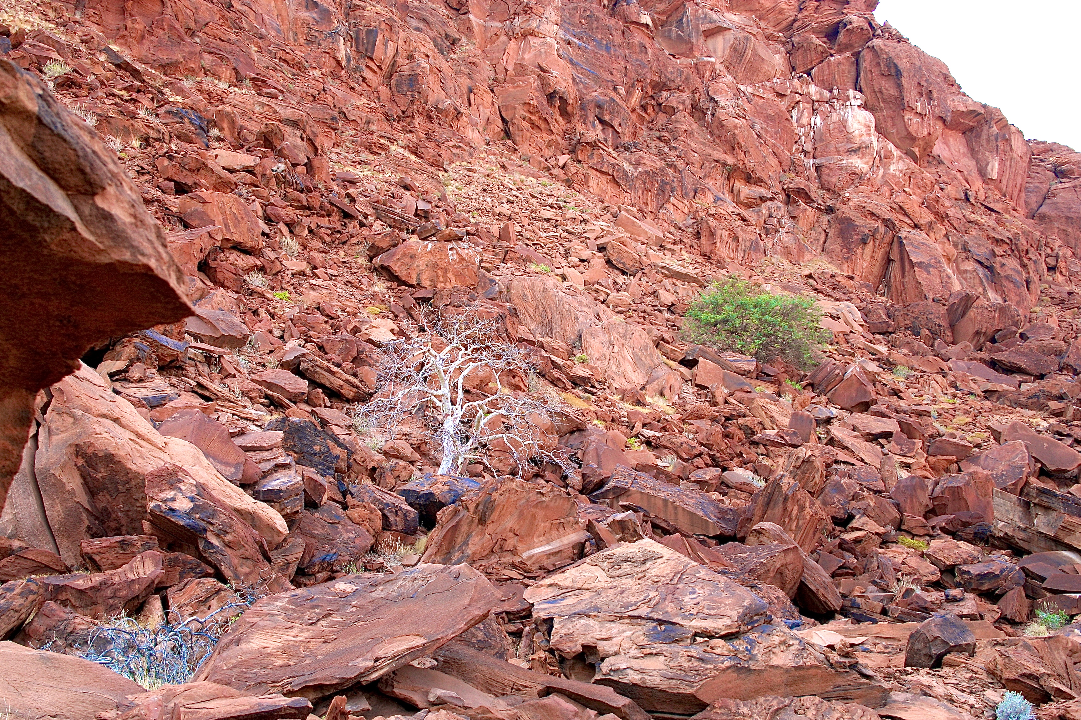 TWYFELFONTEIN