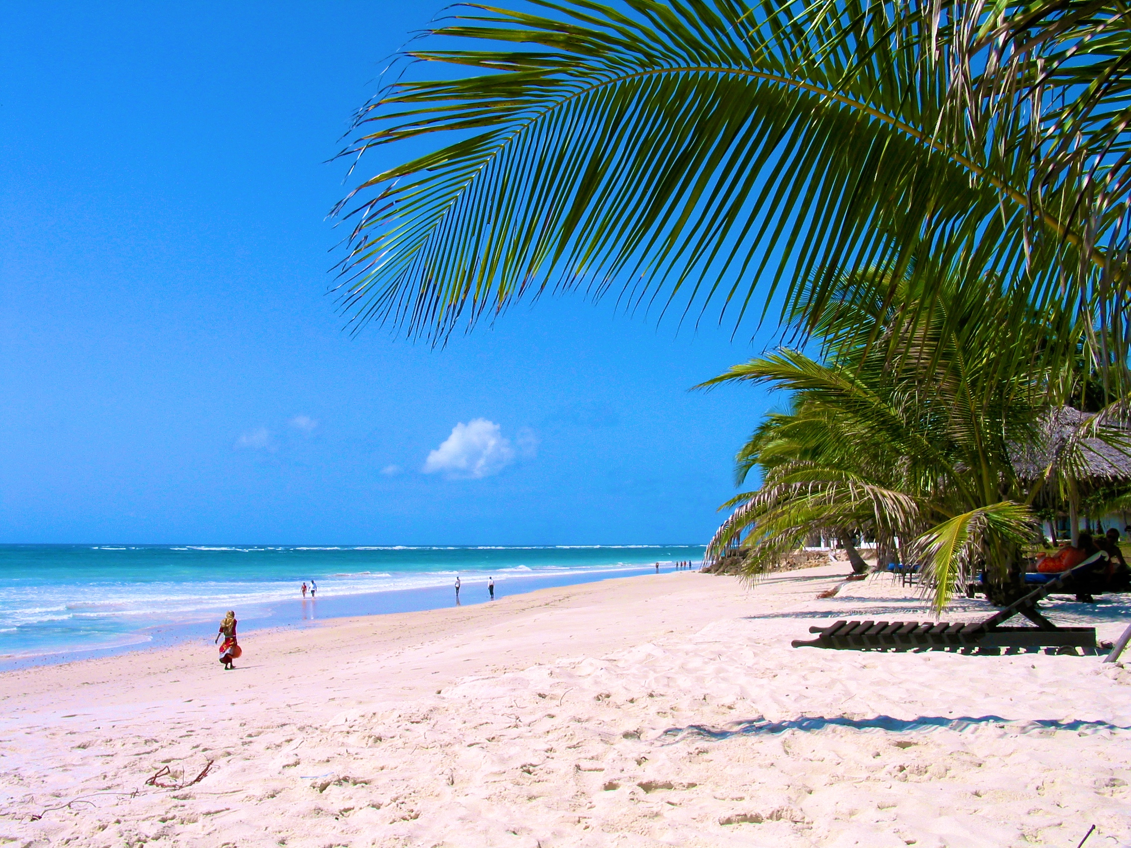 DIANI