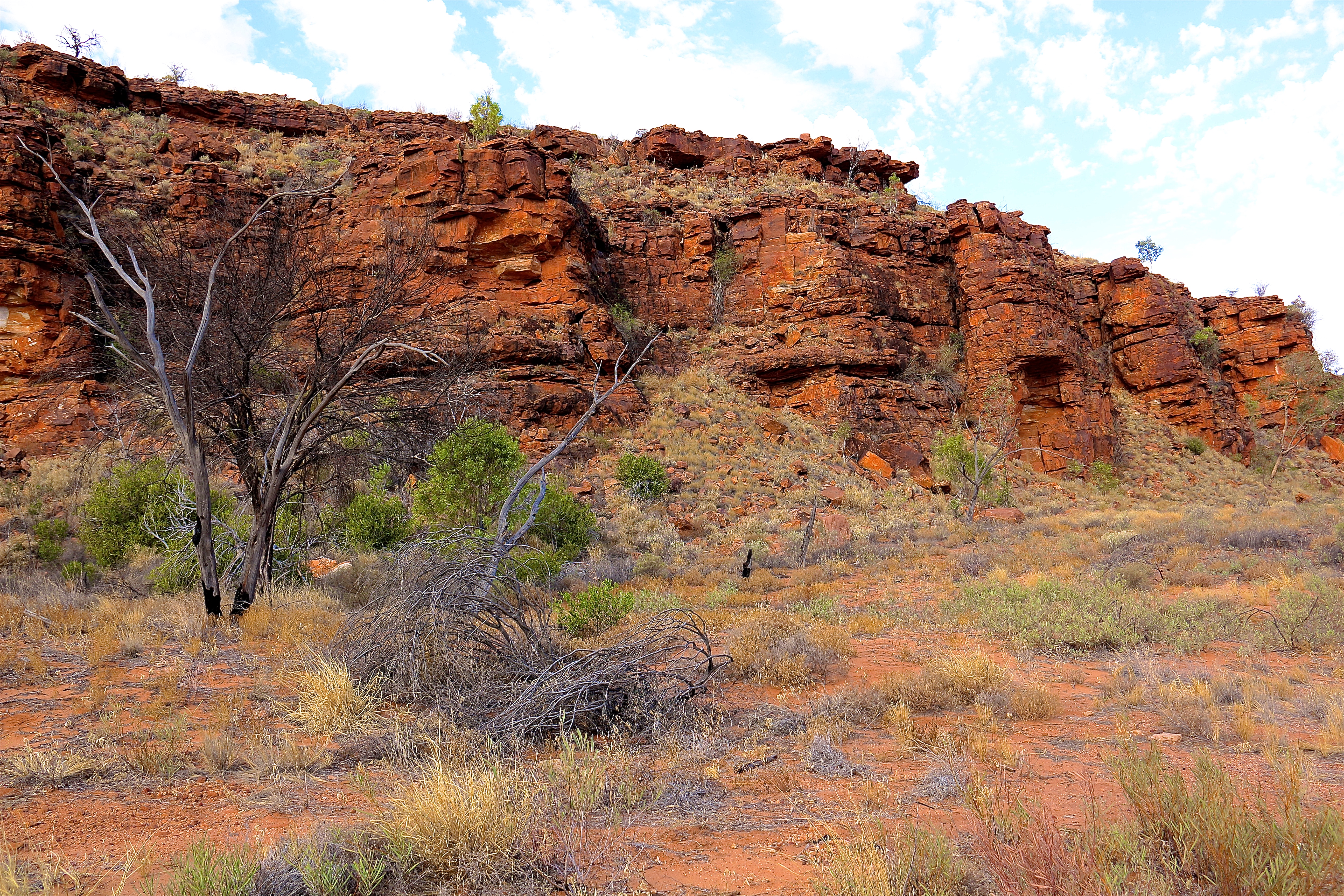 WATARRKA NATIONAL PARK