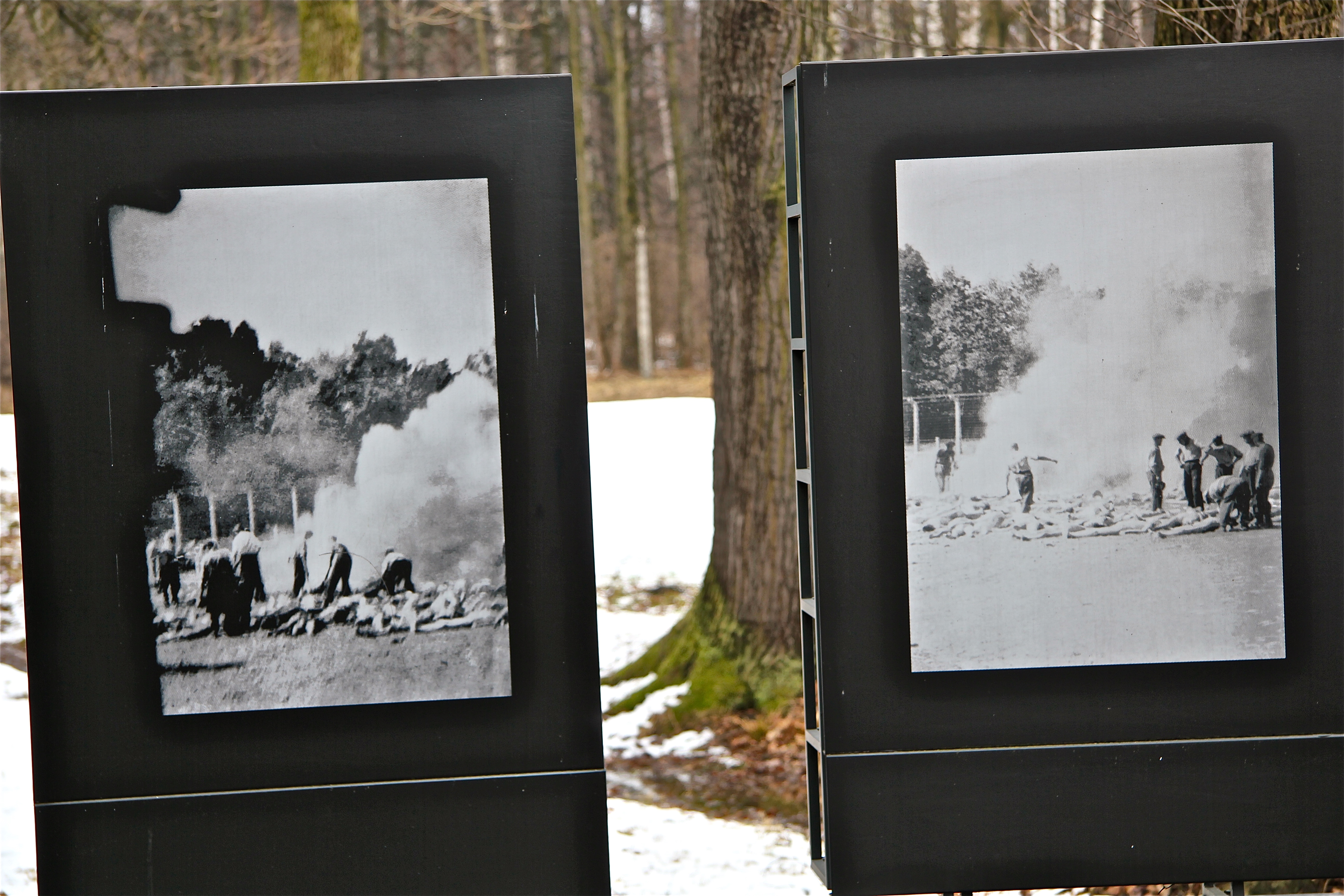 Birkenau, les bûchers