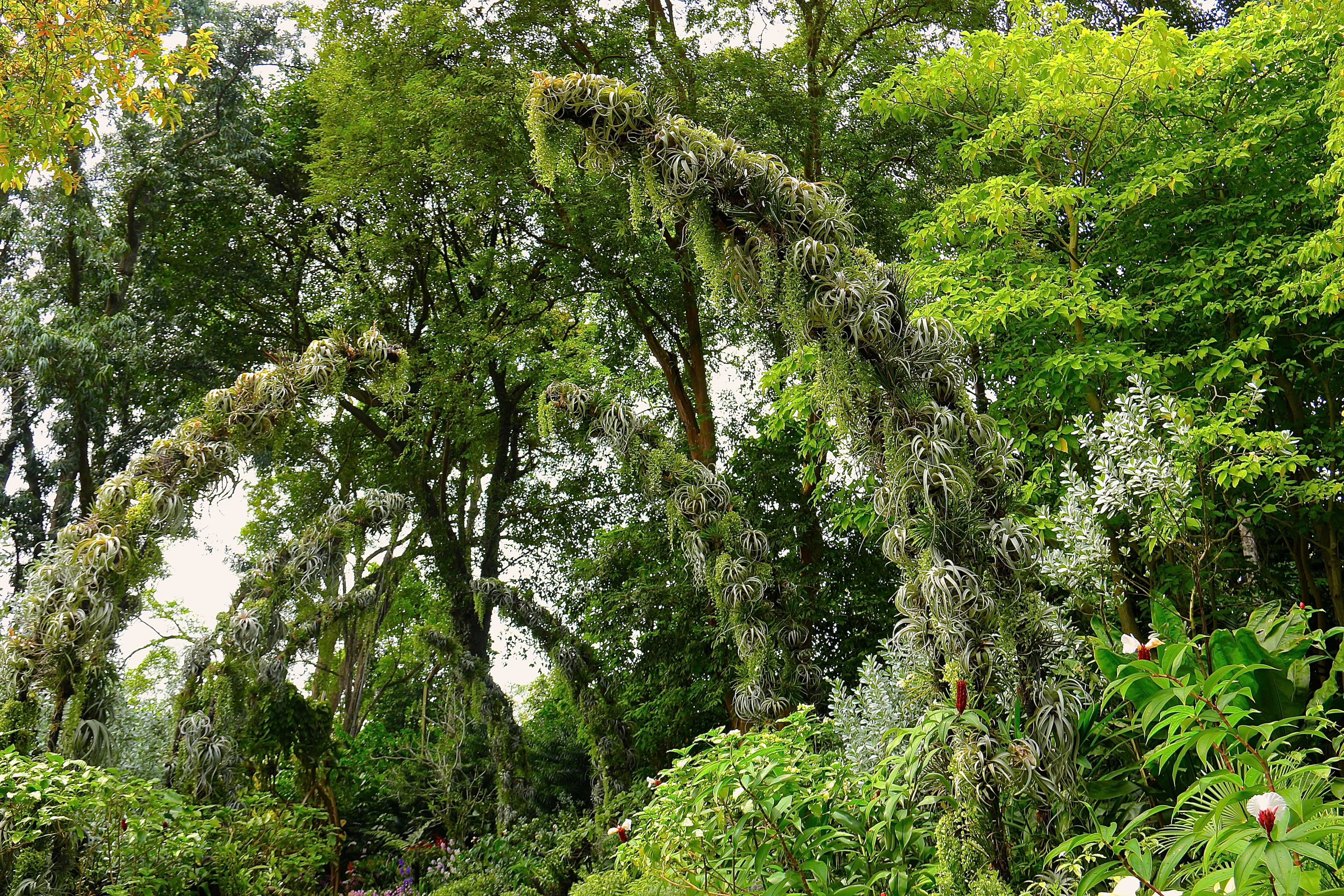 SINGAPOUR