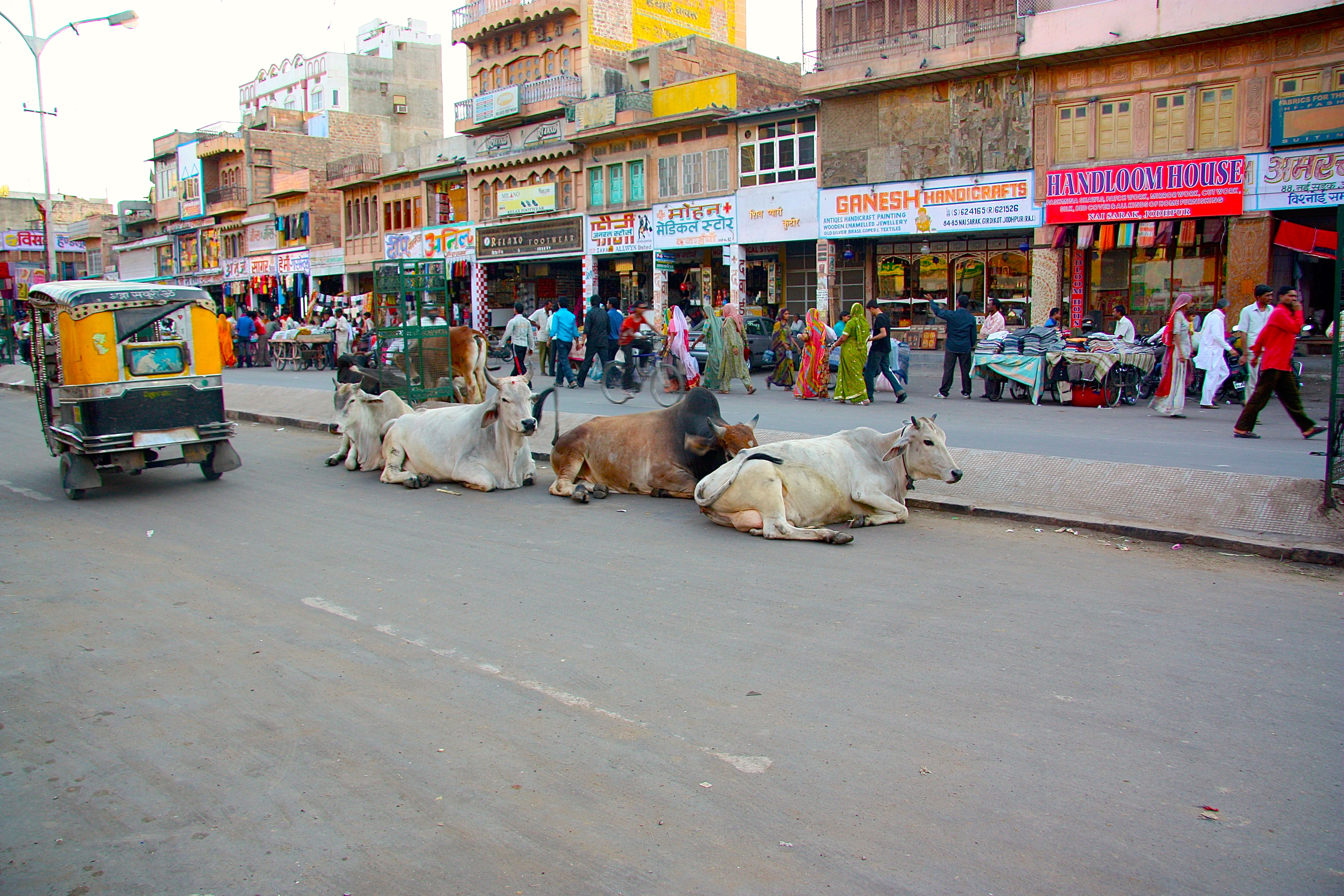 JODHPUR