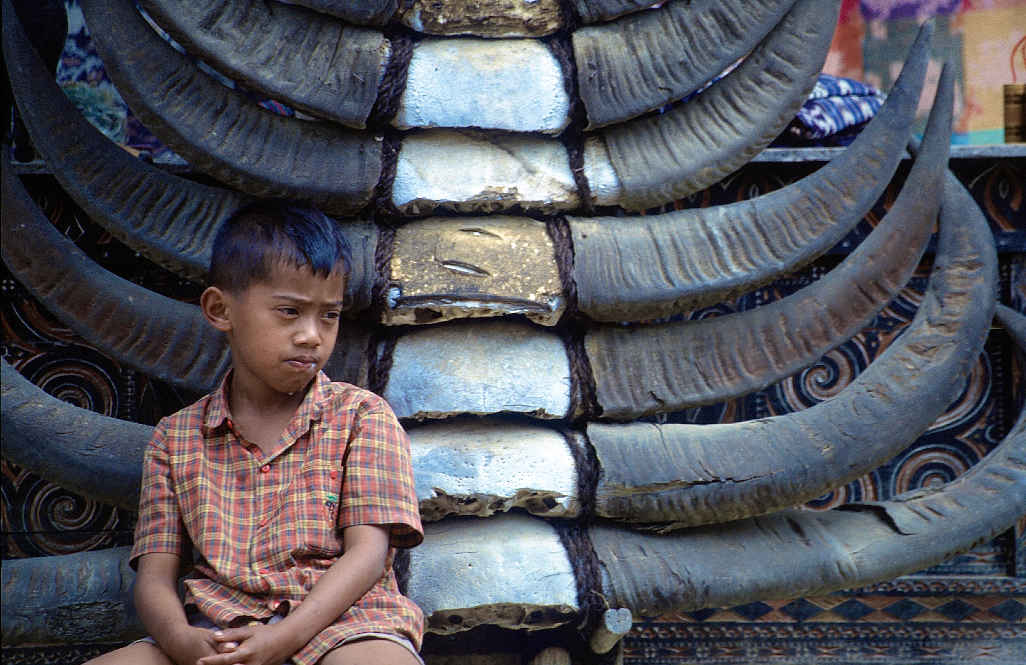 TANA TORAJA