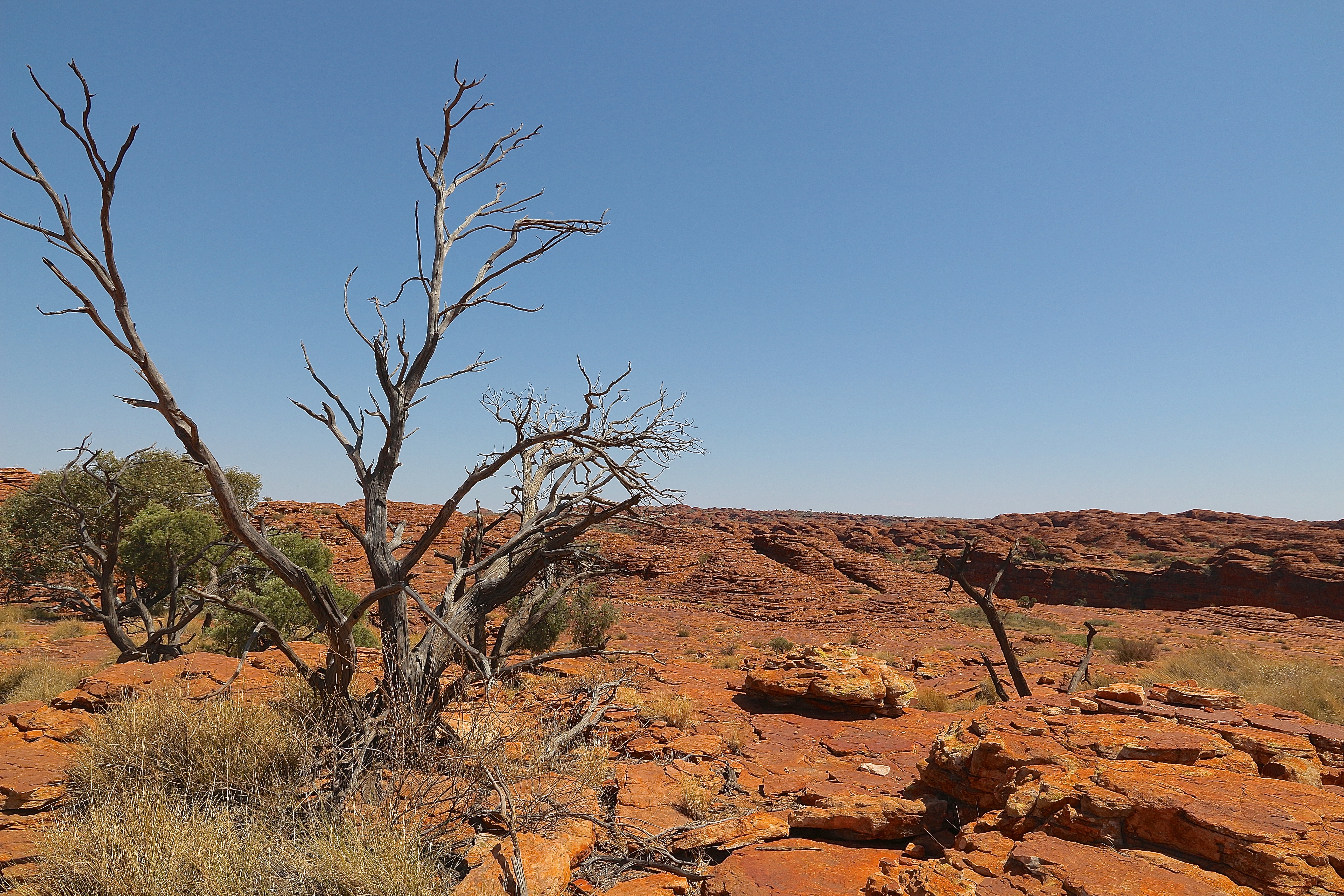 WATARRKA NATIONAL PARK