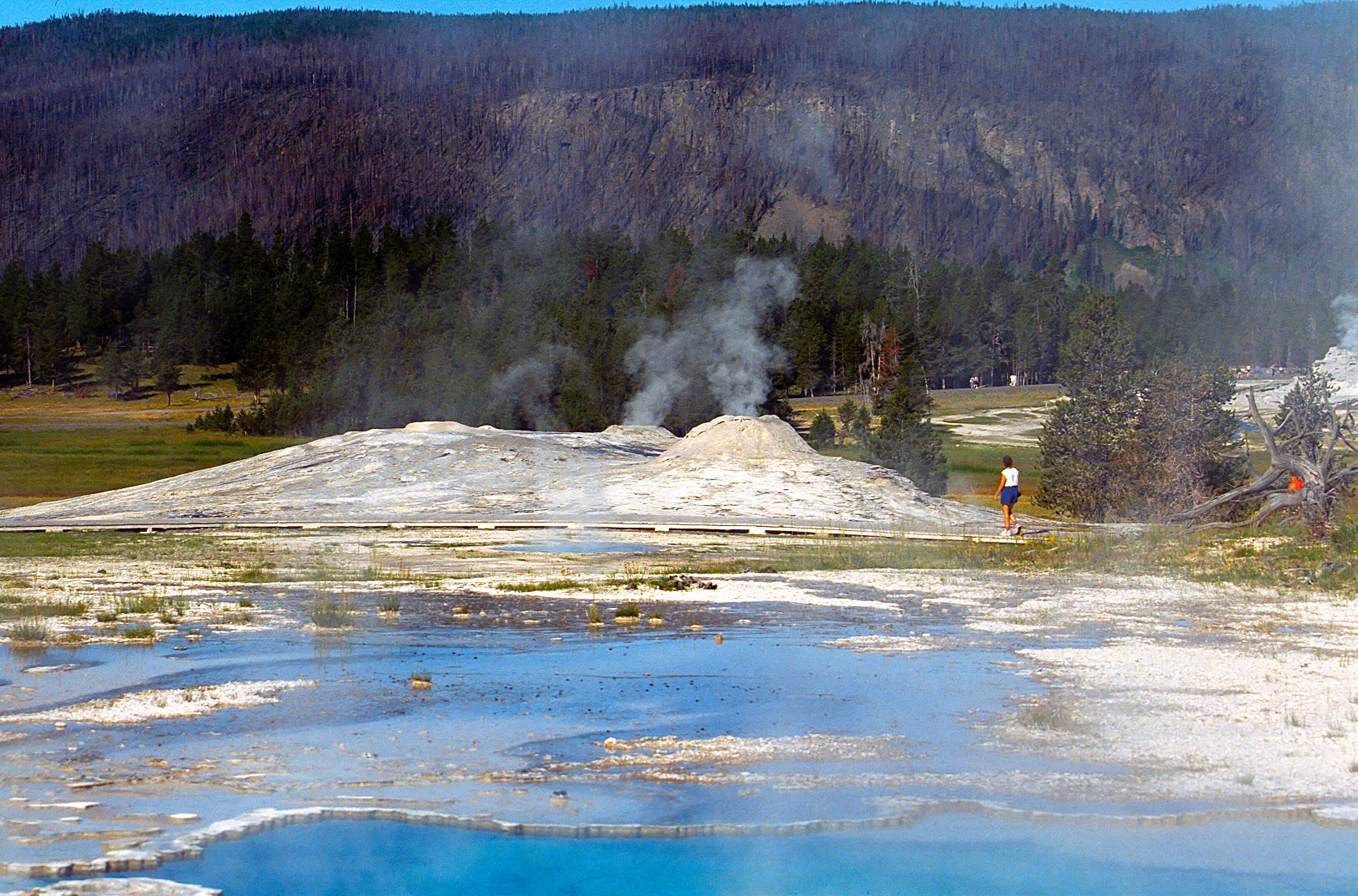 YELLOWSTONE NATIONAL PARK