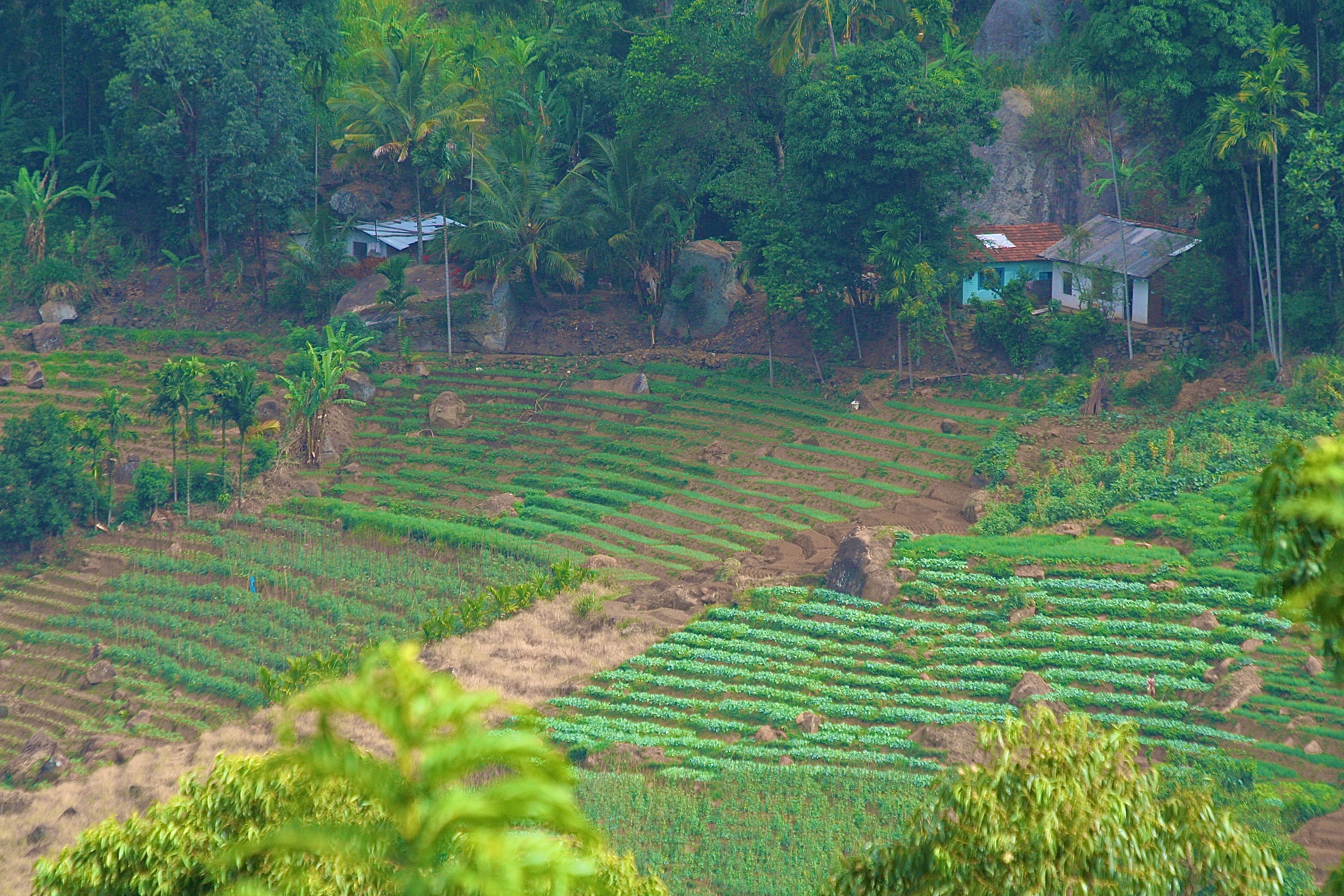 KATAGARAMA