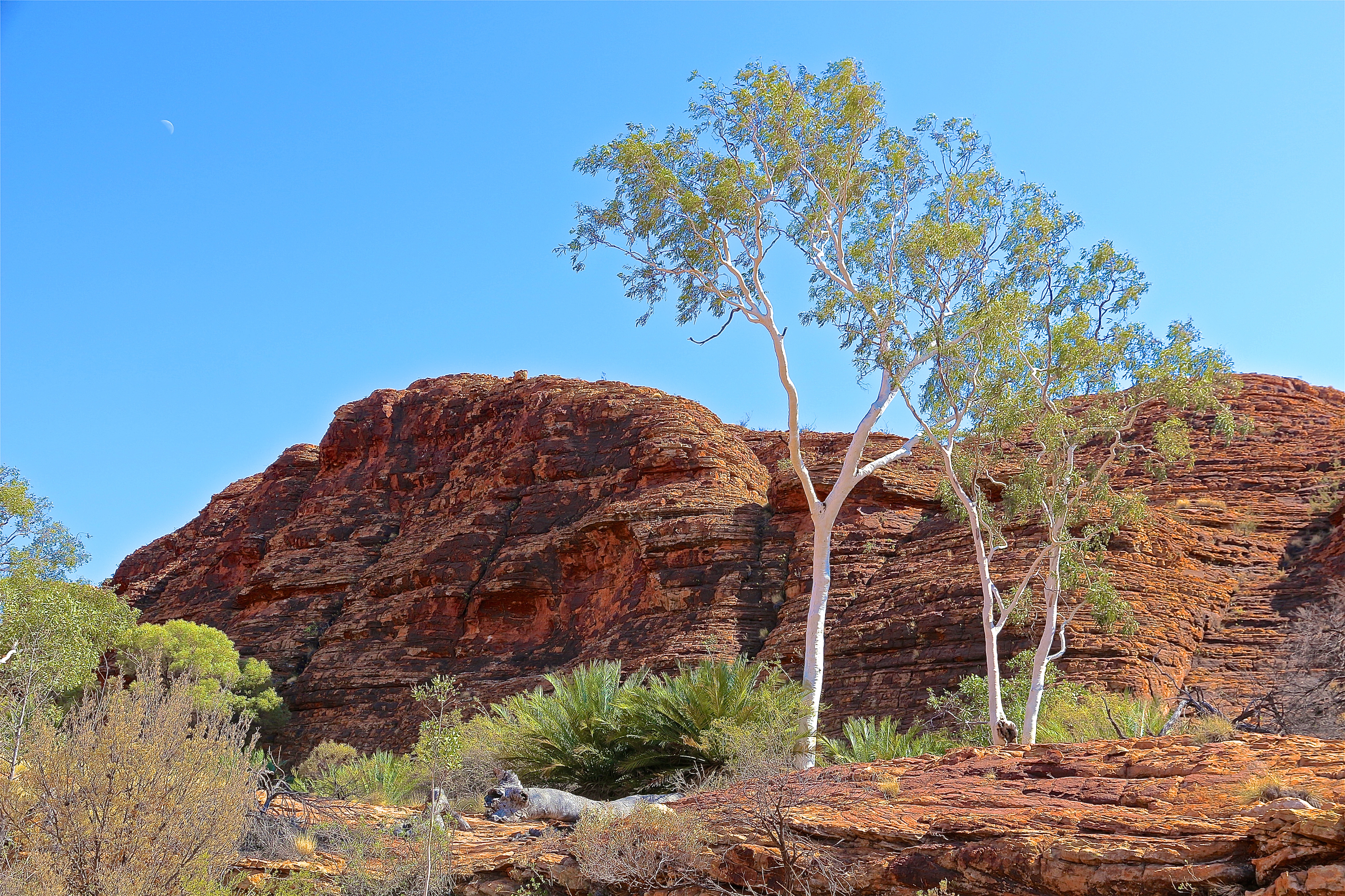 WATARRKA NATIONAL PARK