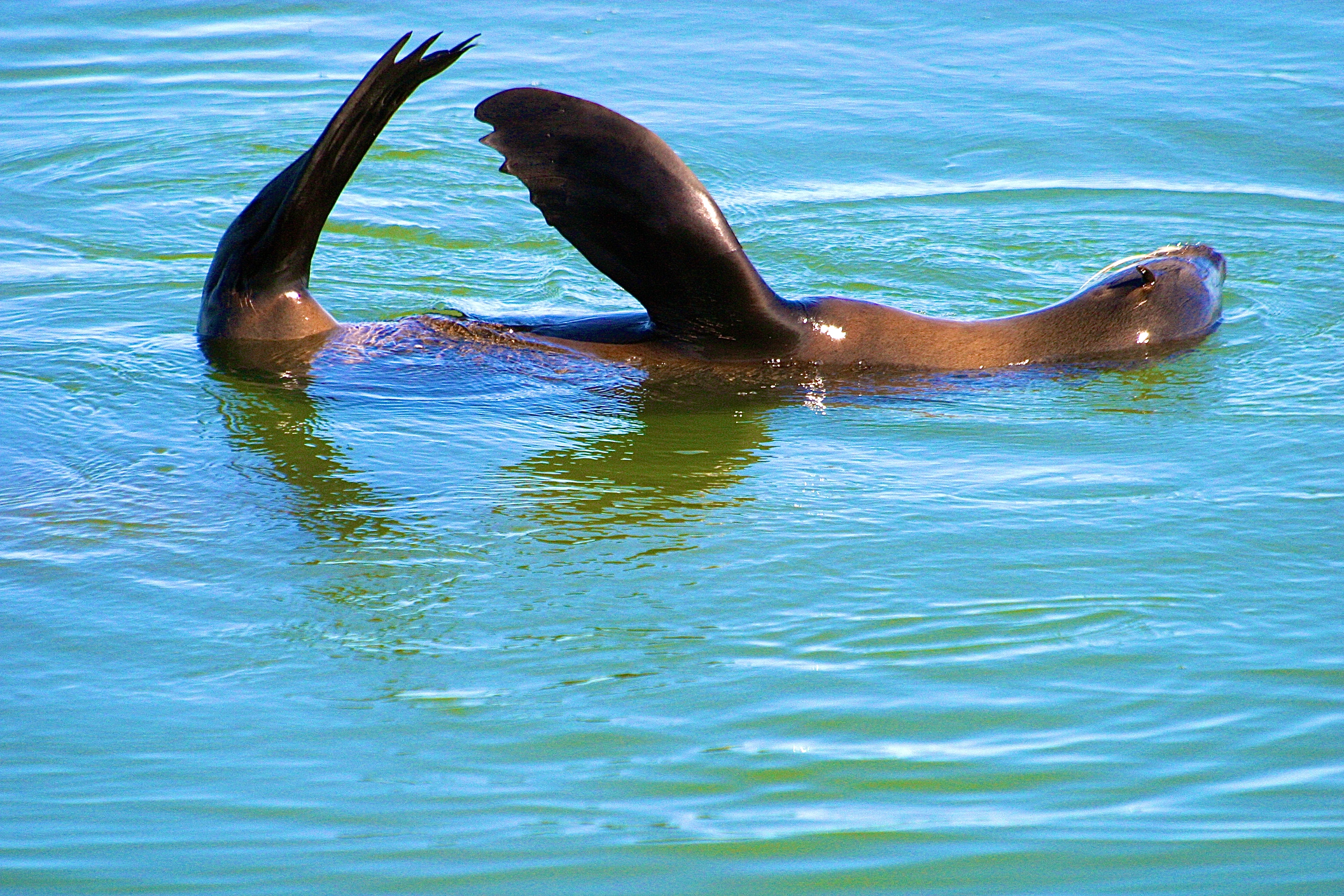 WALVIS BAY