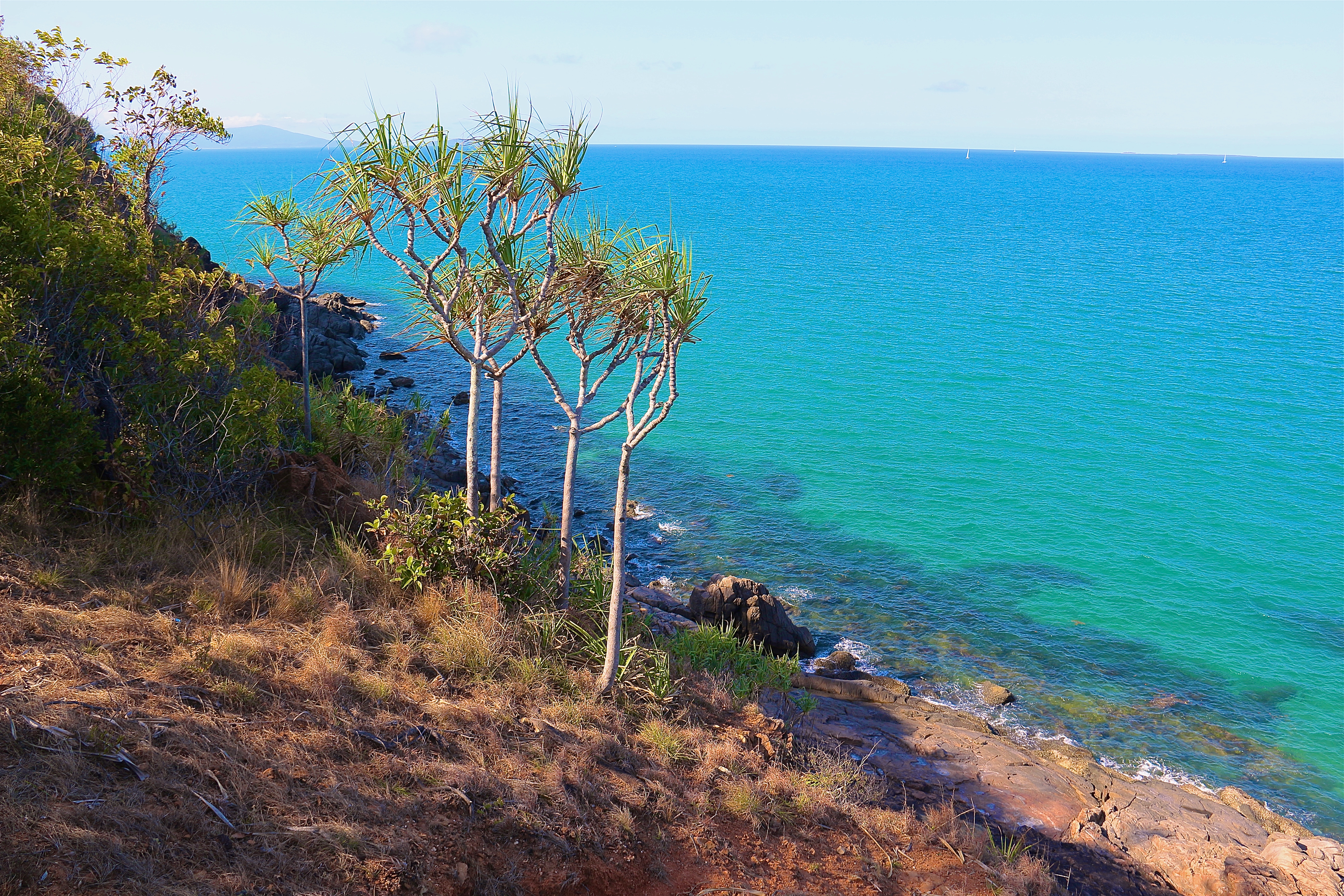 PORT DOUGLAS