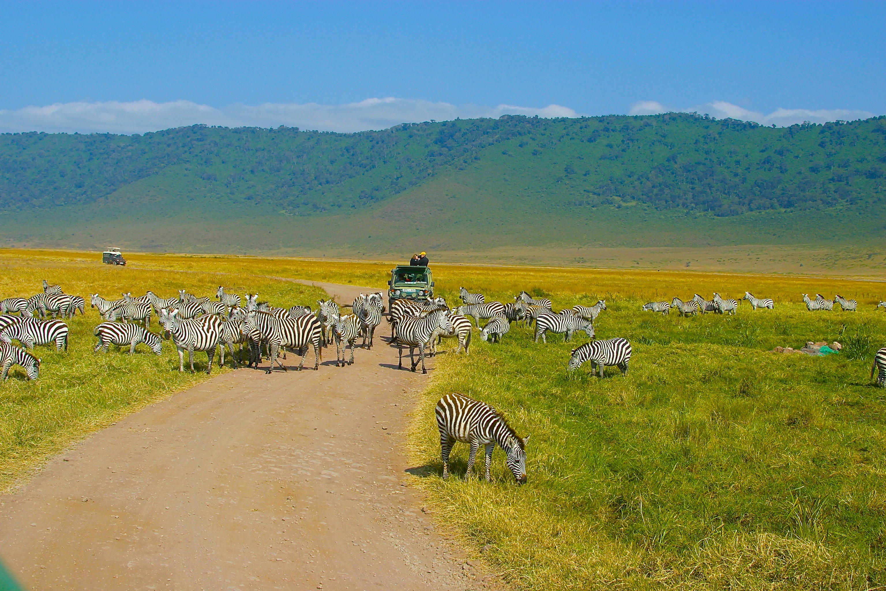 NGORONGORO
