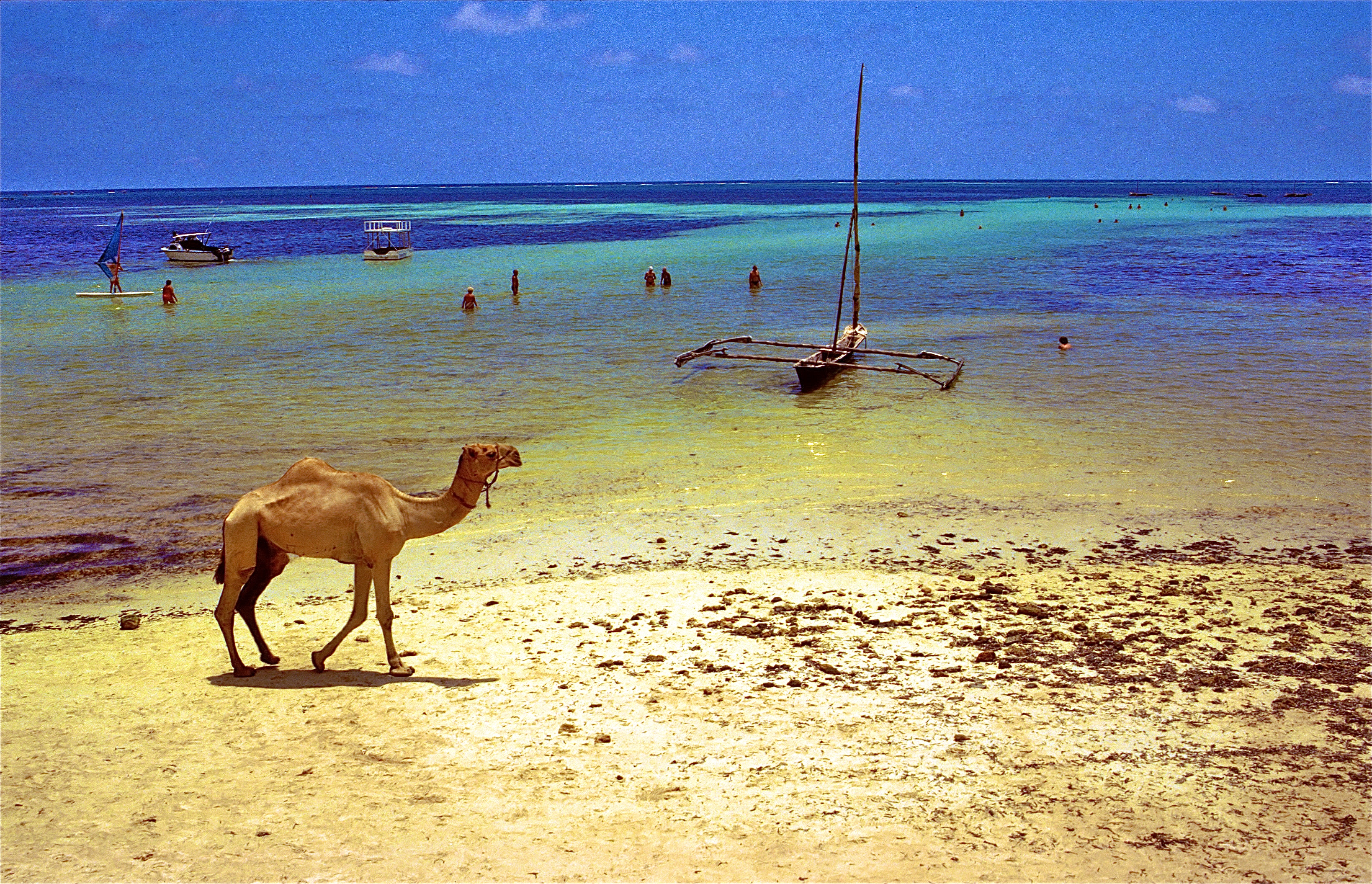 BAMBURI