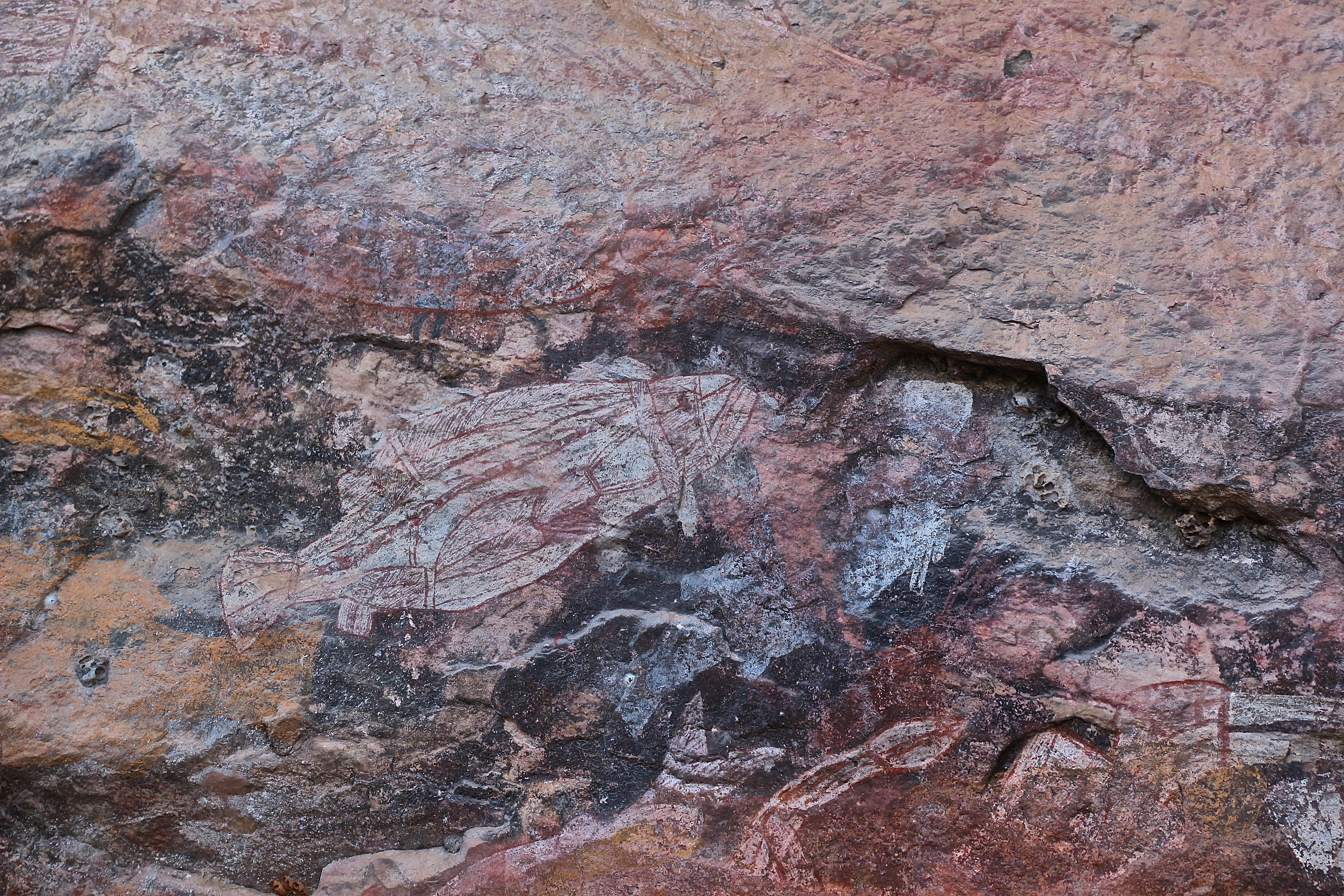 ARNHEM LAND