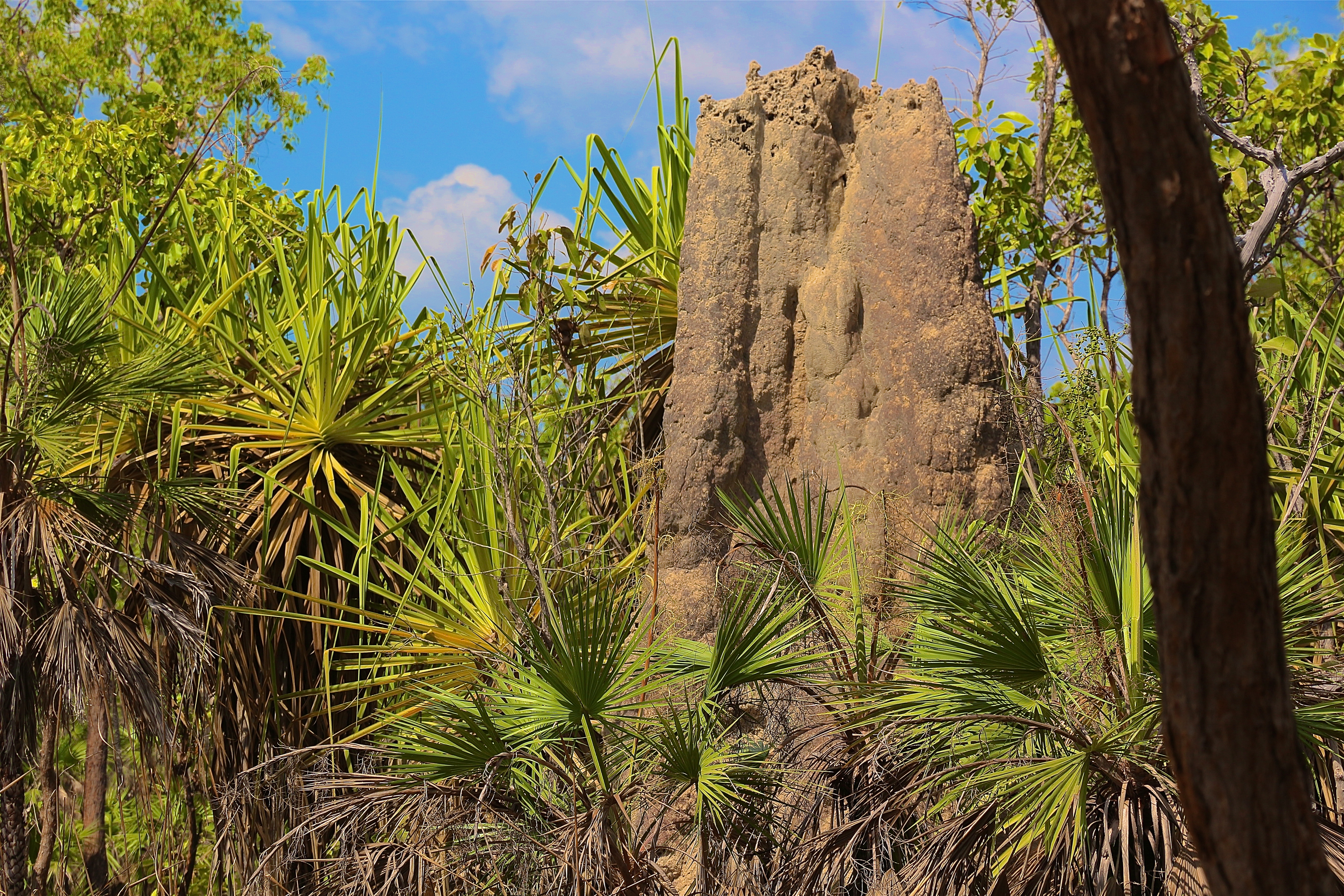 LITCHFIELD NATIONAL PARK