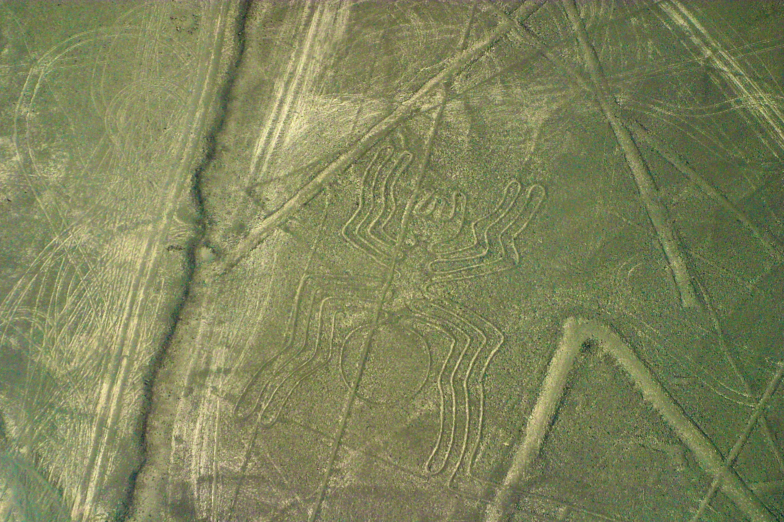 NAZCA