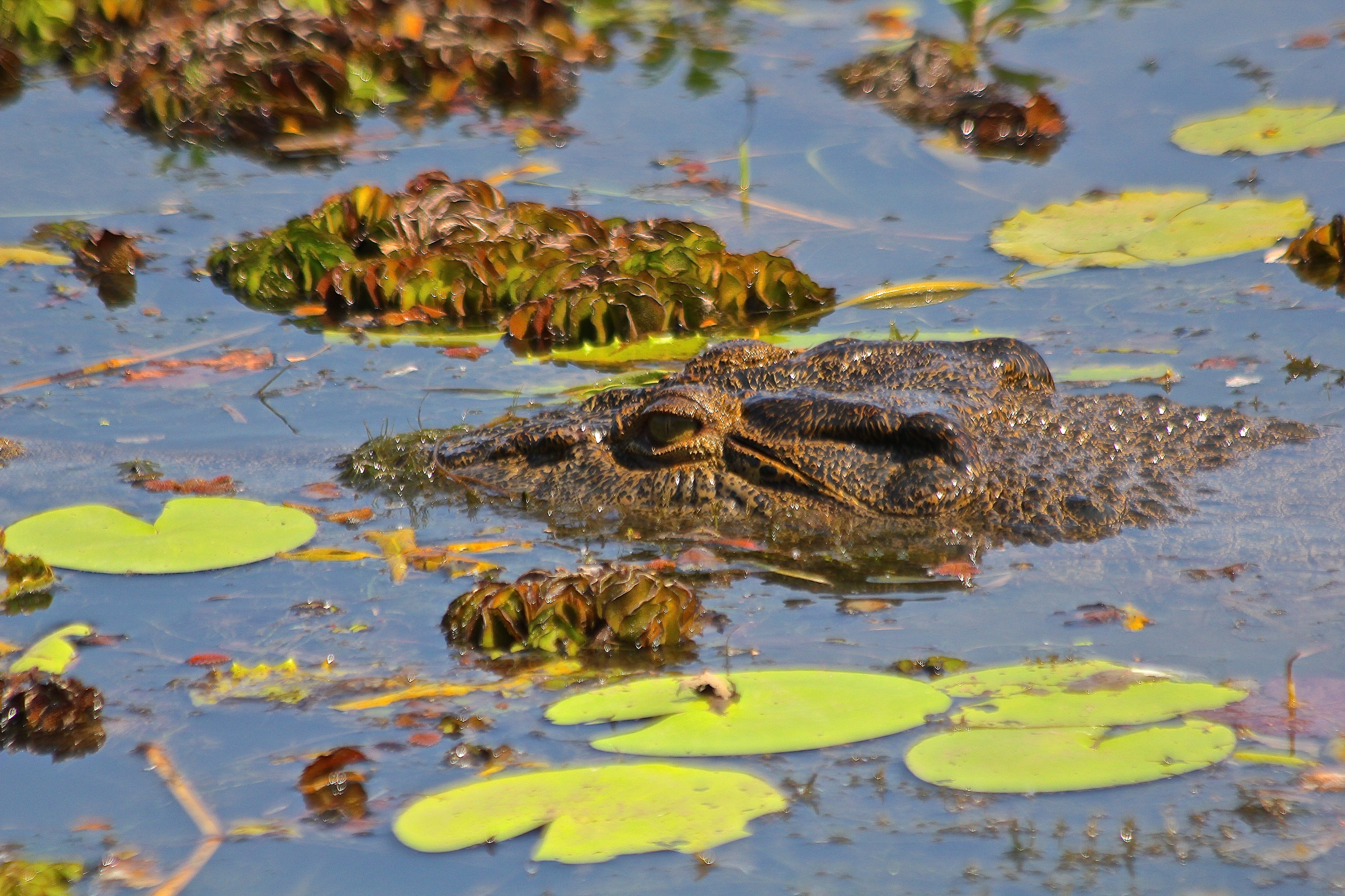 KAKADU NATIONAL PARK