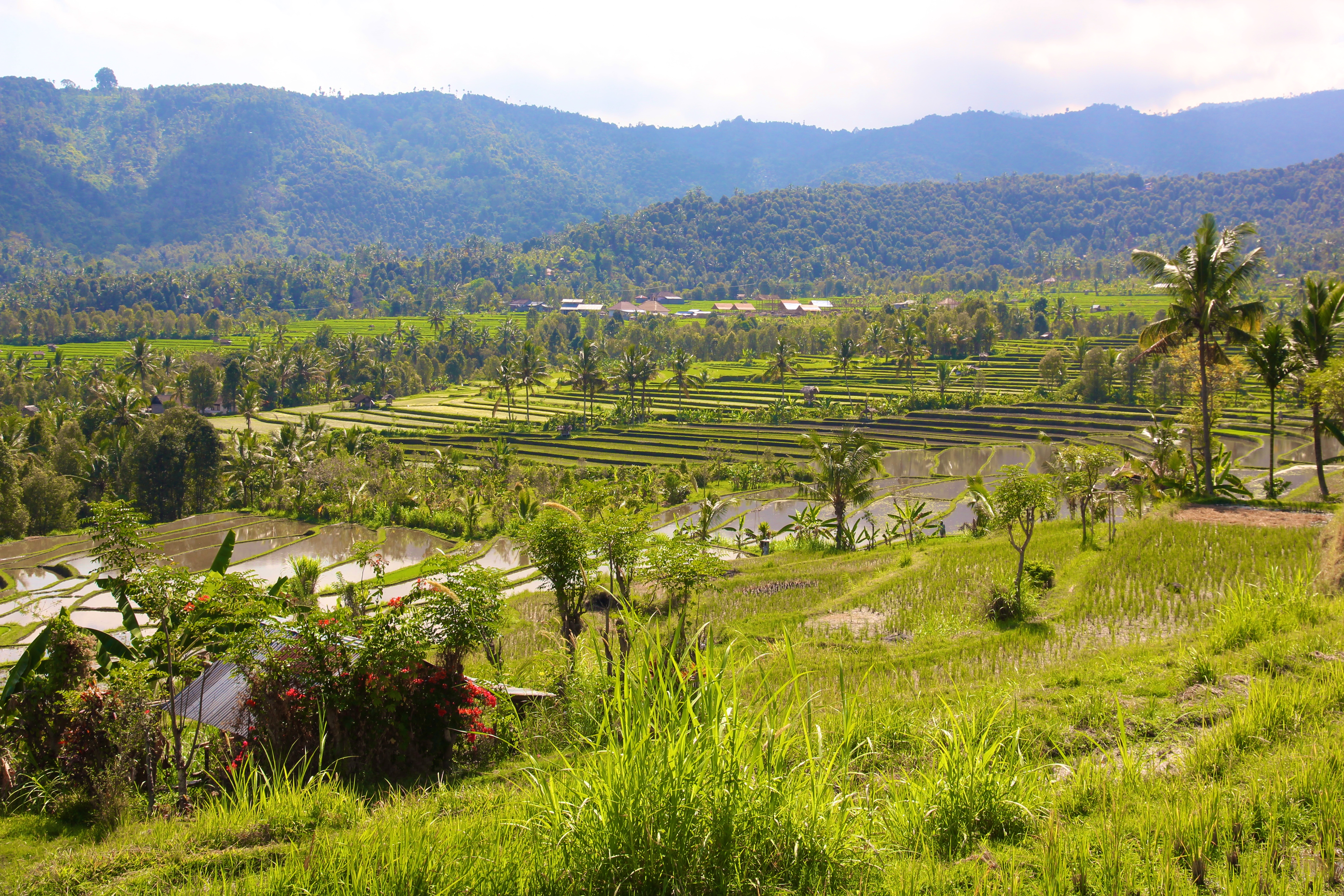 PEMUTERAN