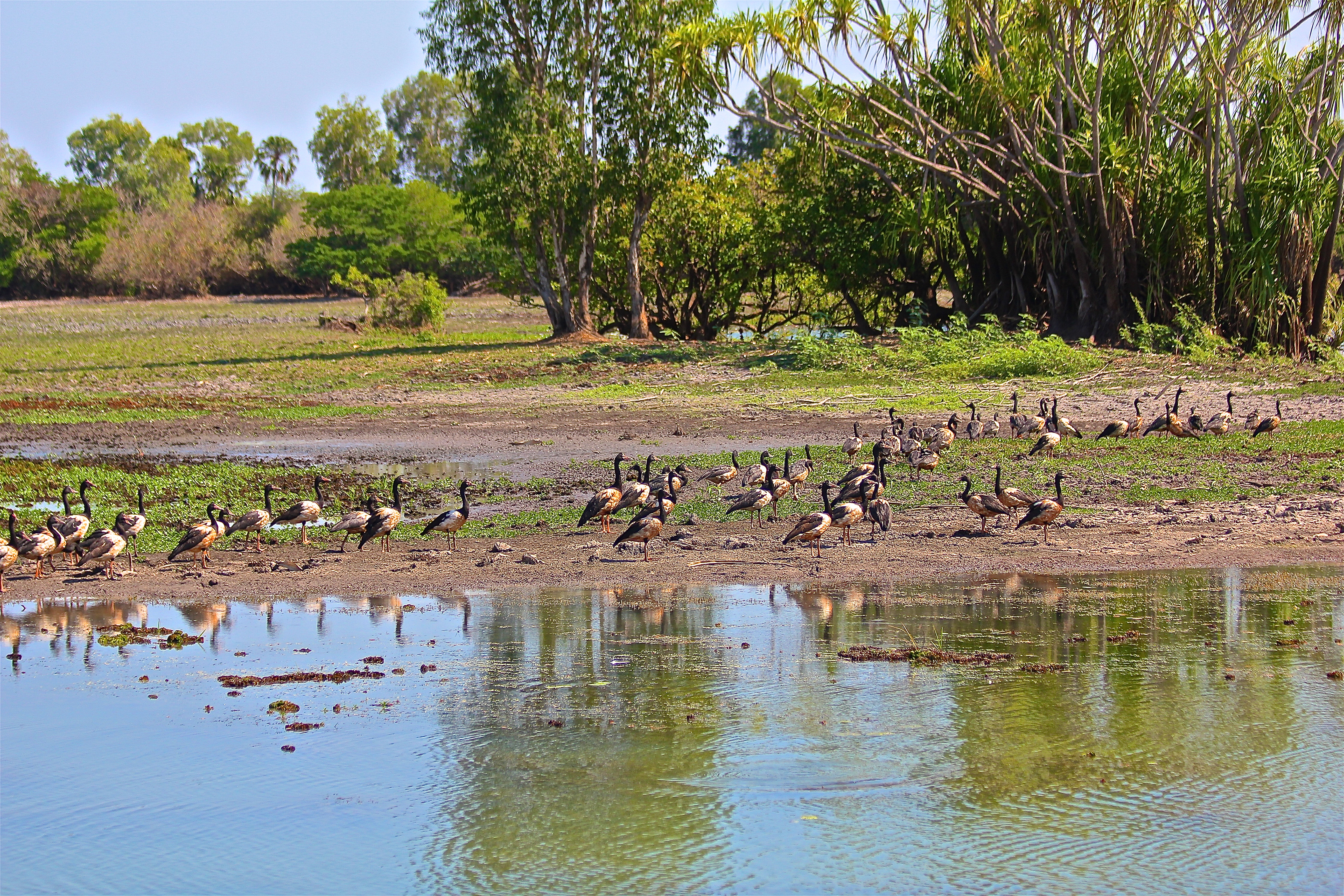 KAKADU NATIONAL PARK