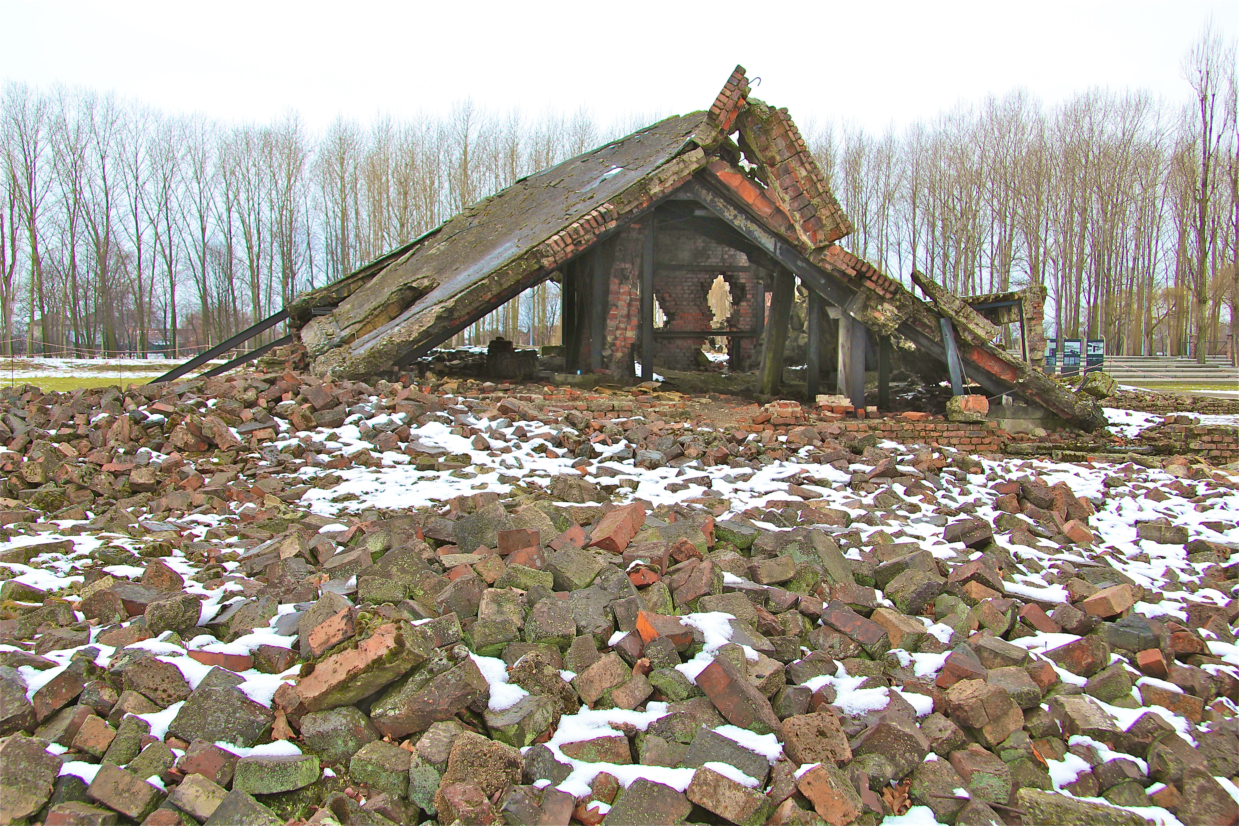 Birkenau, les crématoires