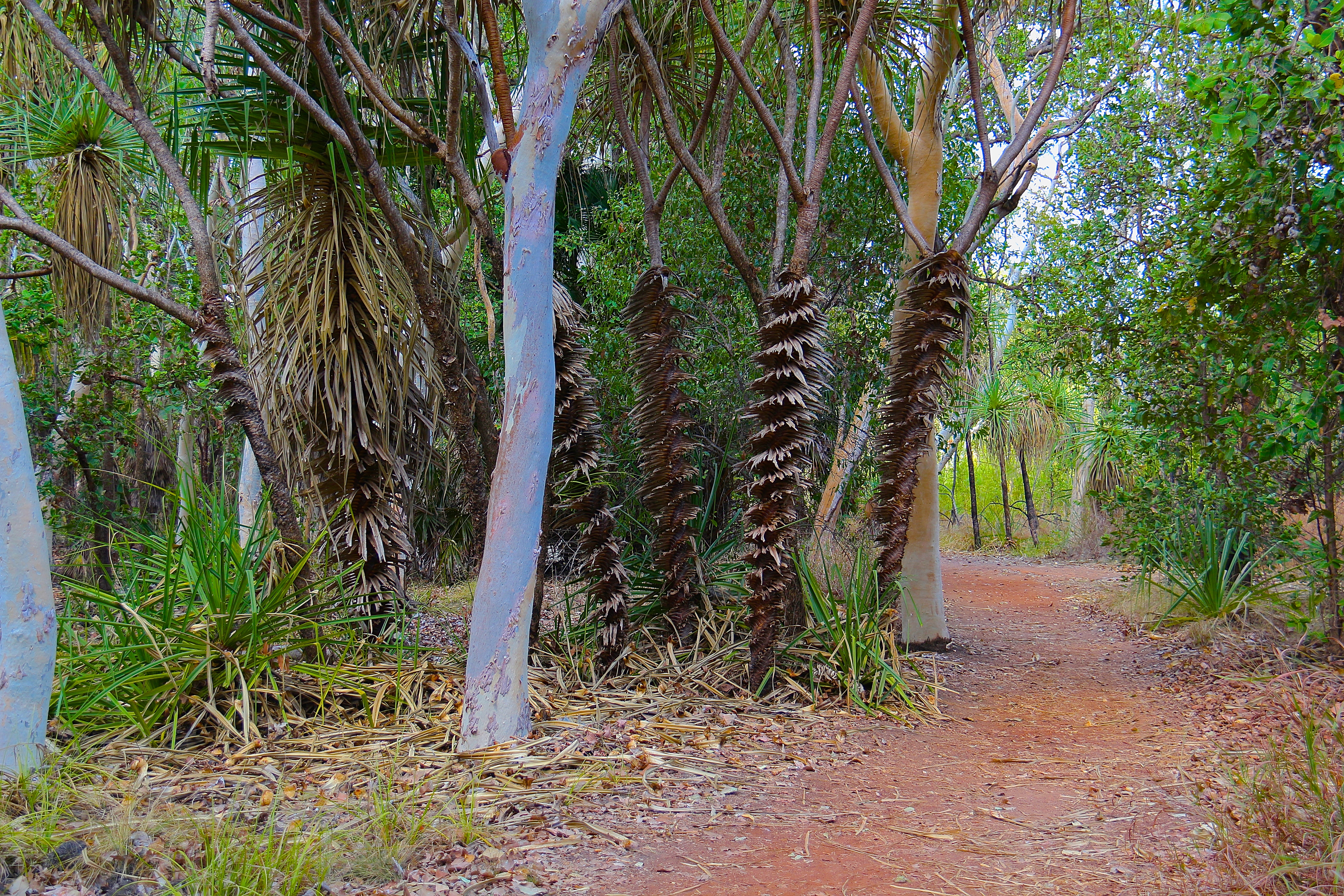 KAKADU NATIONAL PARK