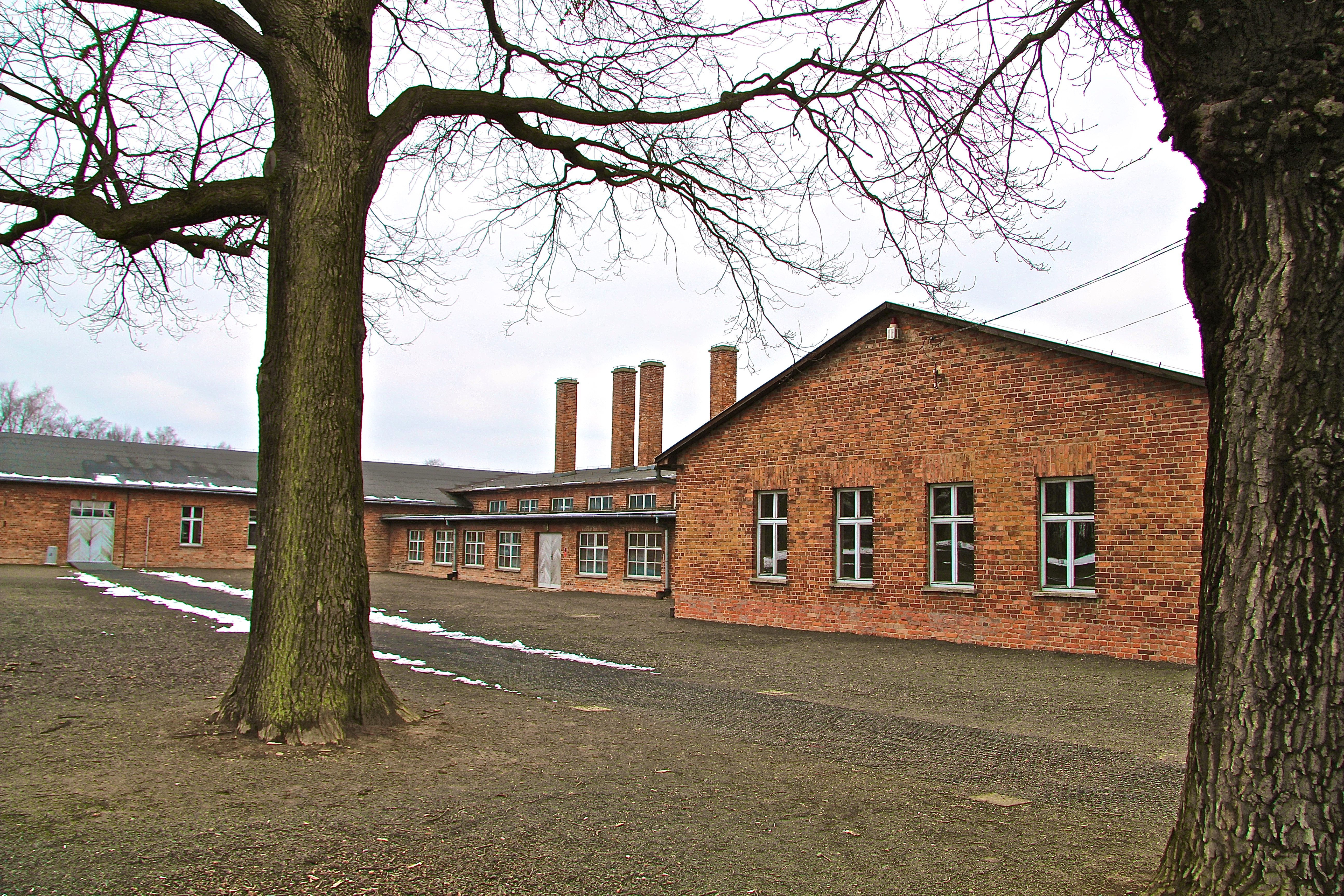 Birkenau, le "Sauna" central