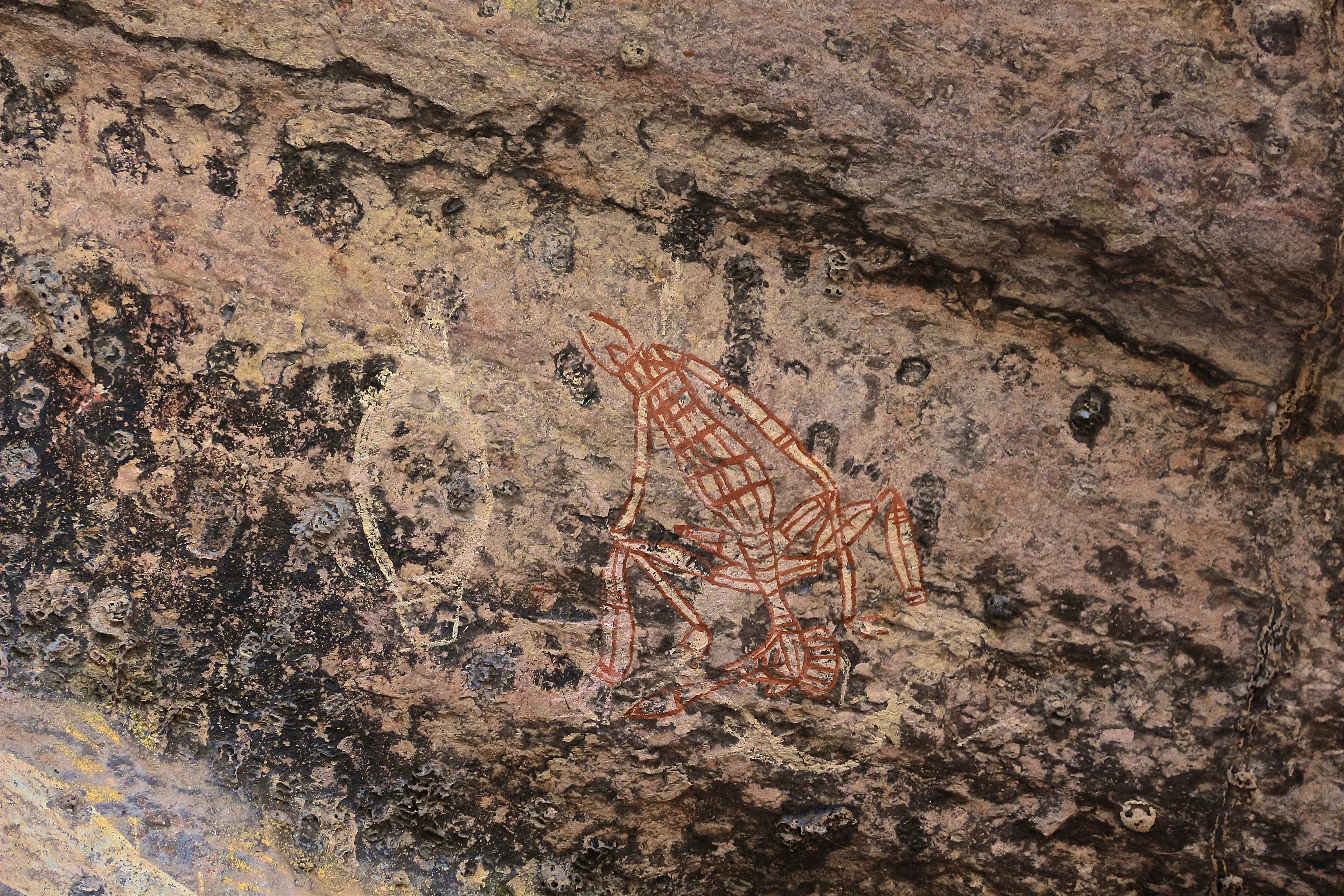 ARNHEM LAND