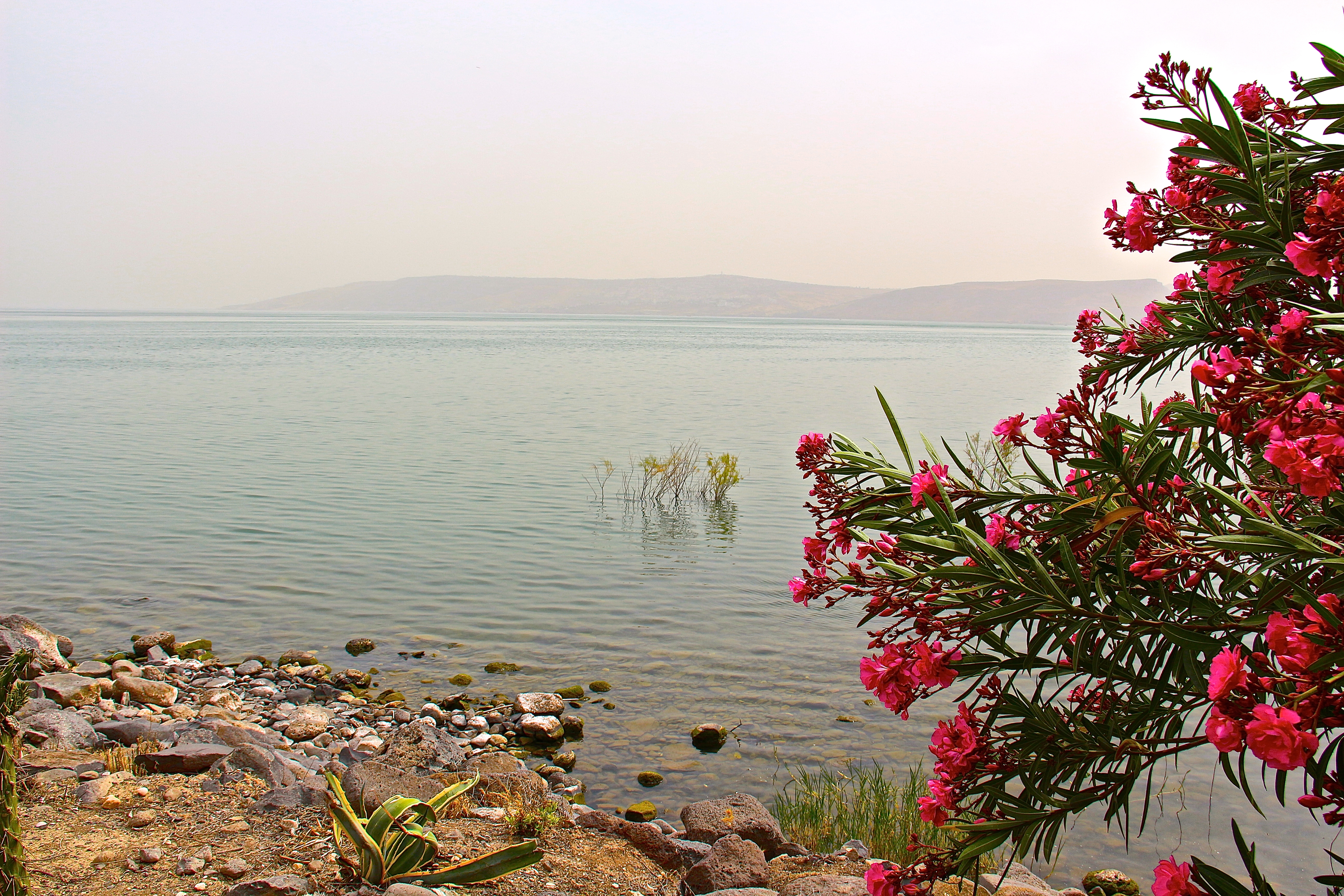 LAC DE TIBÉRIADE