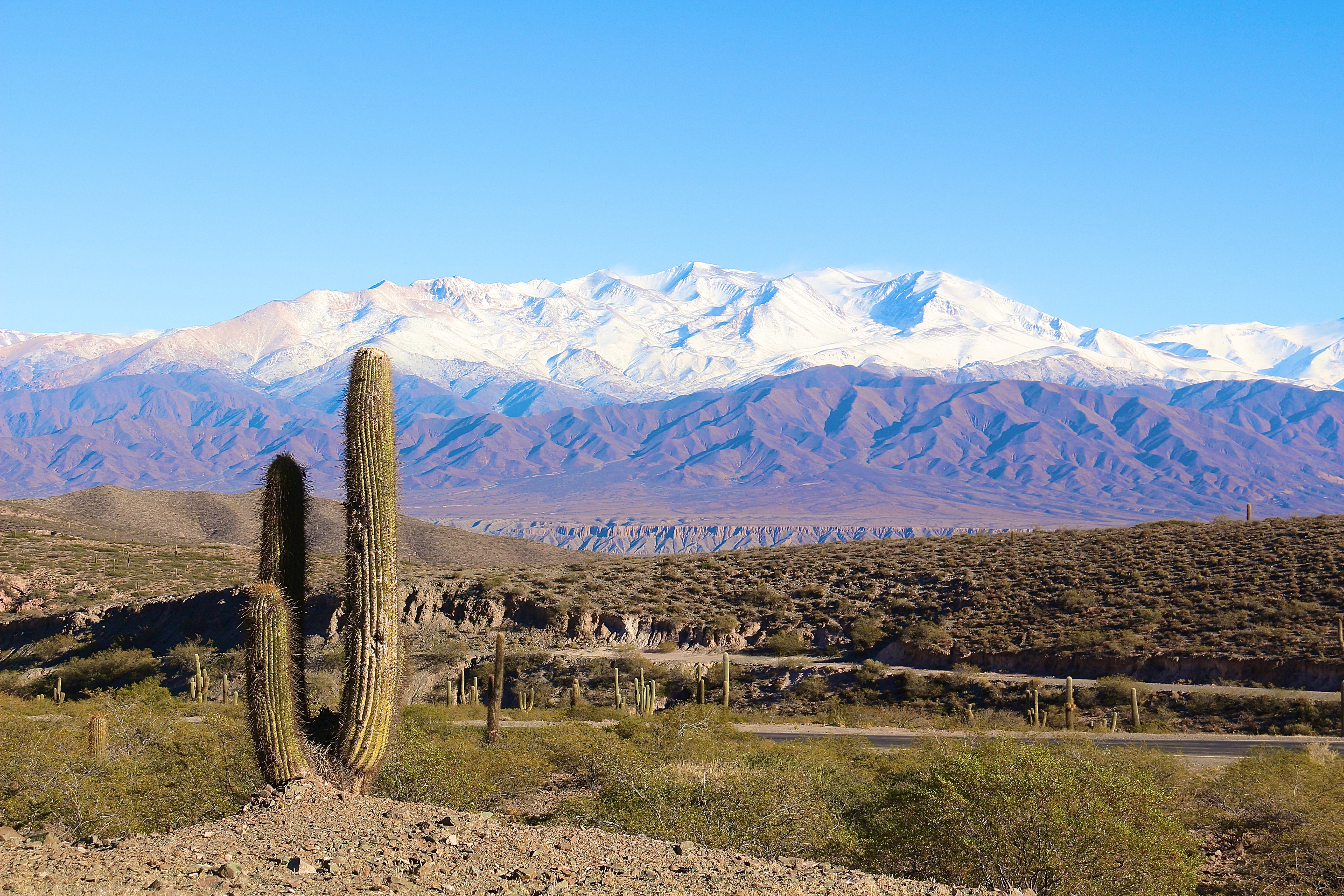PARC DE LOS CARDONES