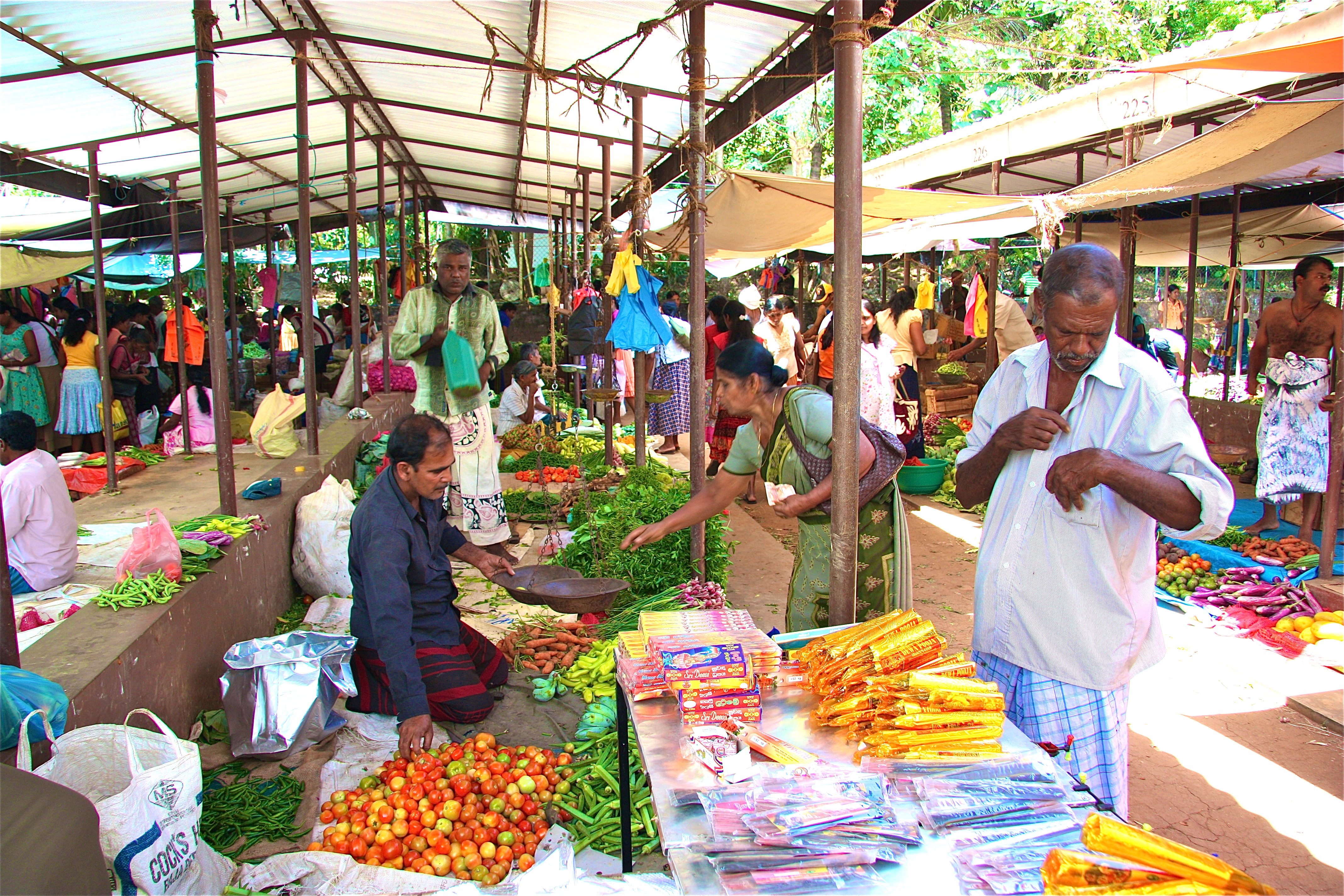 MATALE