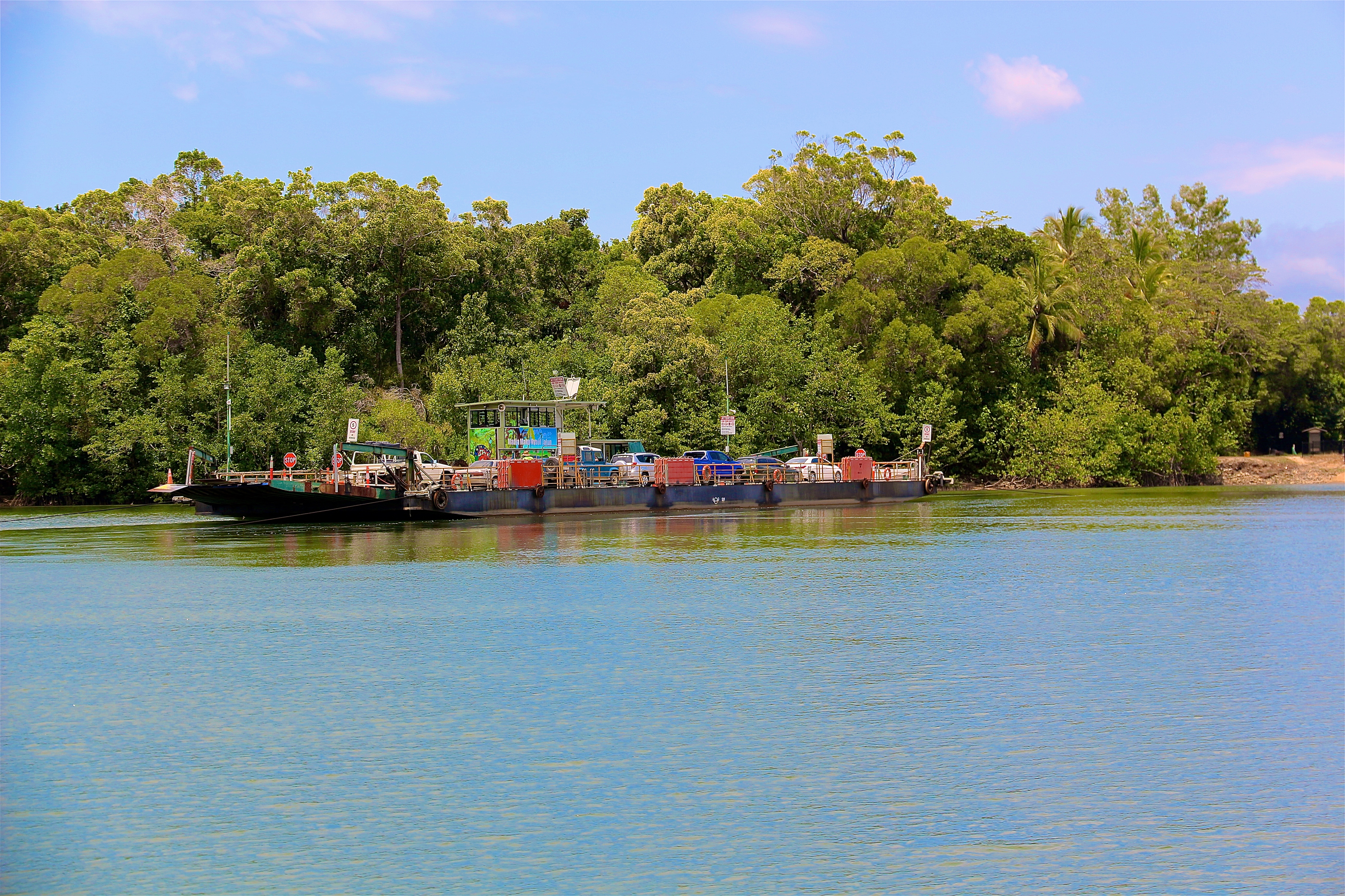 DAINTREE RAINFOREST