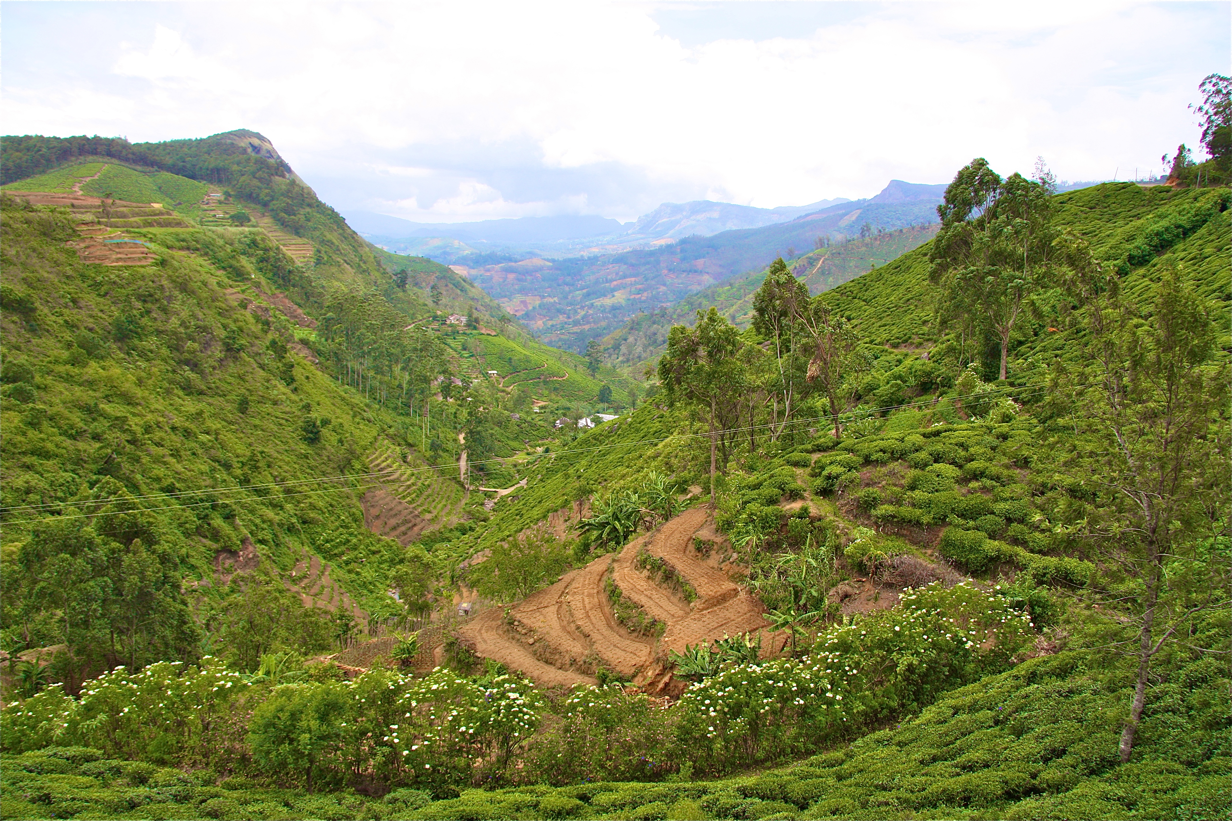 BANDARAWELA