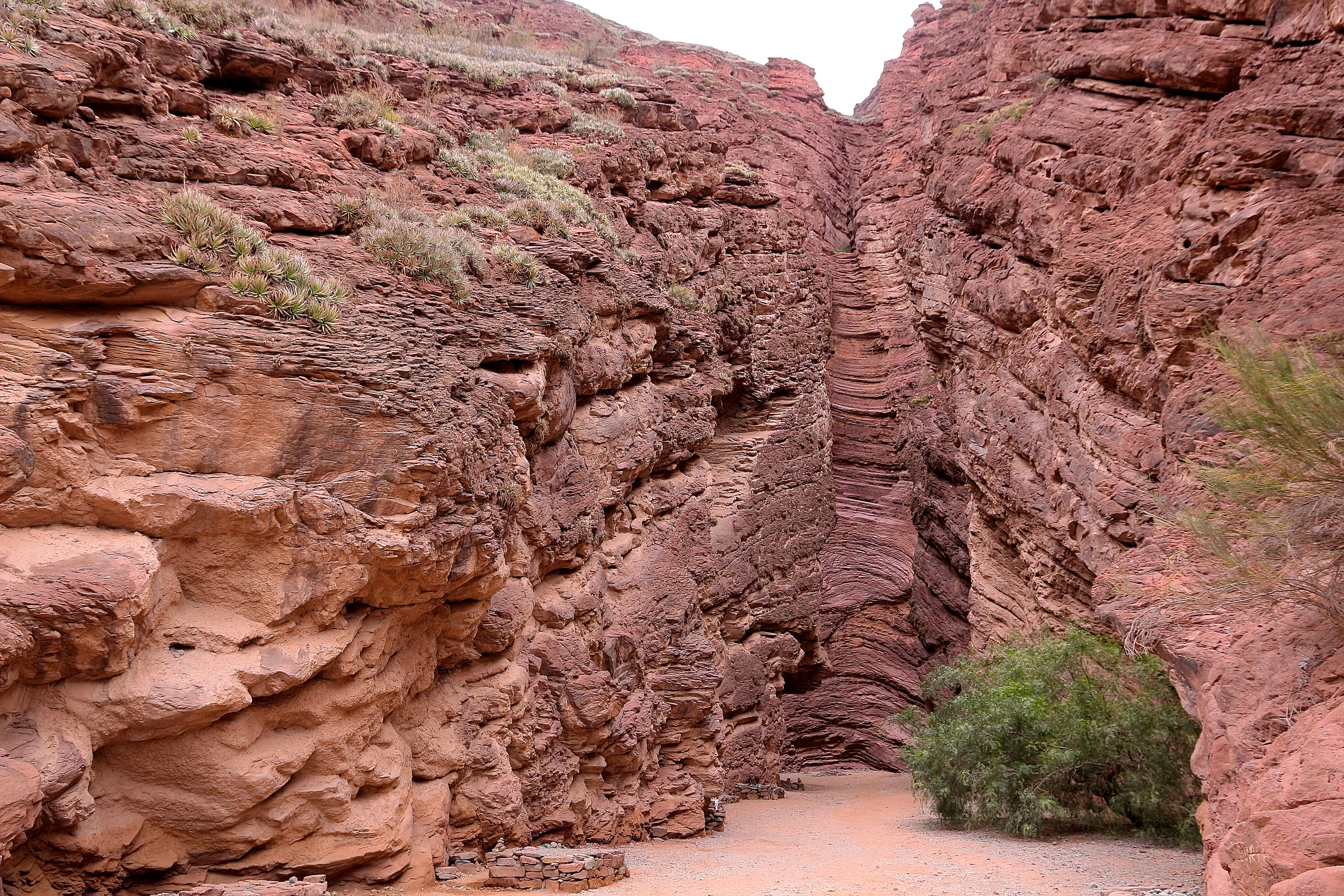 QUEBRADA DE LAS CONCHAS