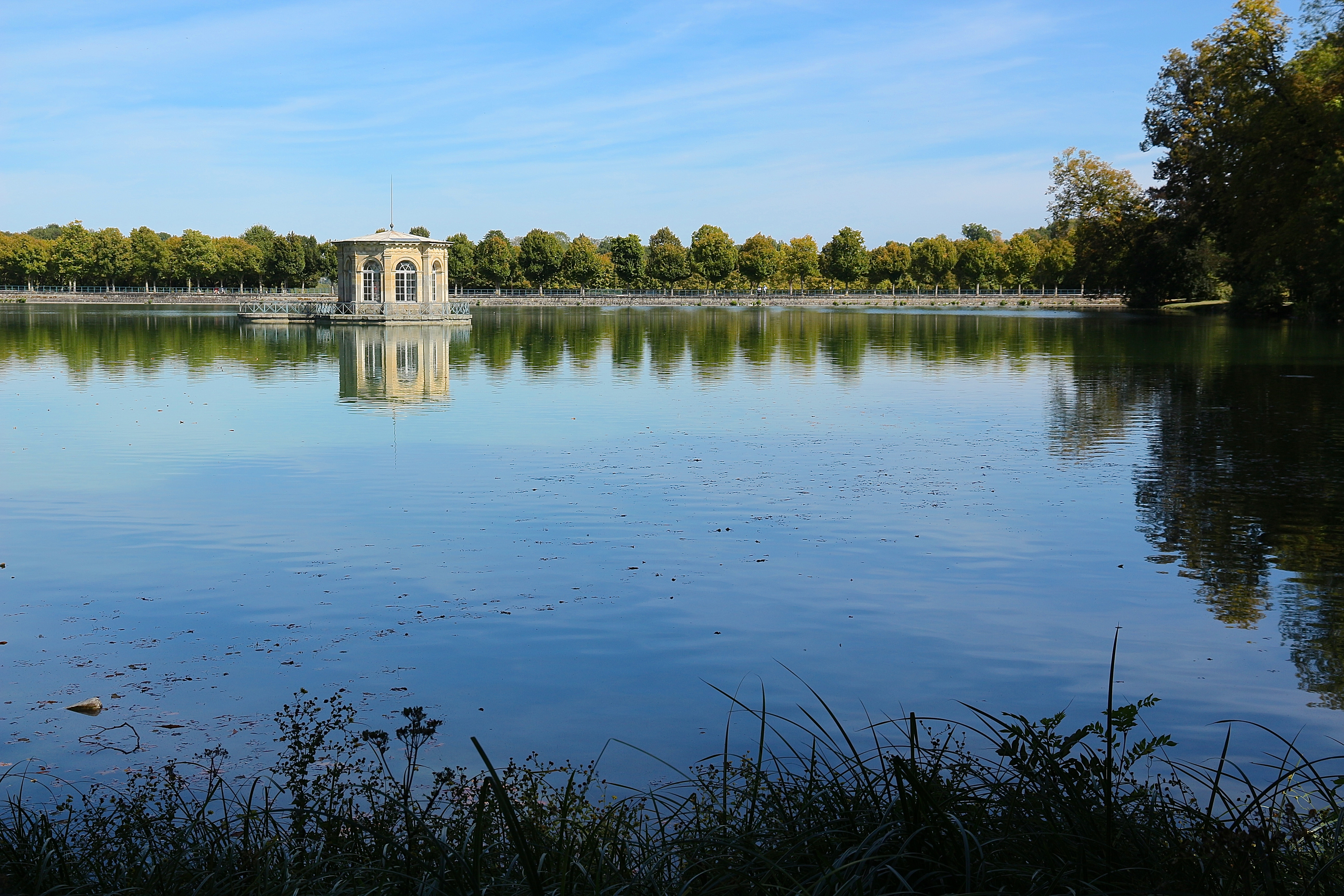 l'étang aux Carpes