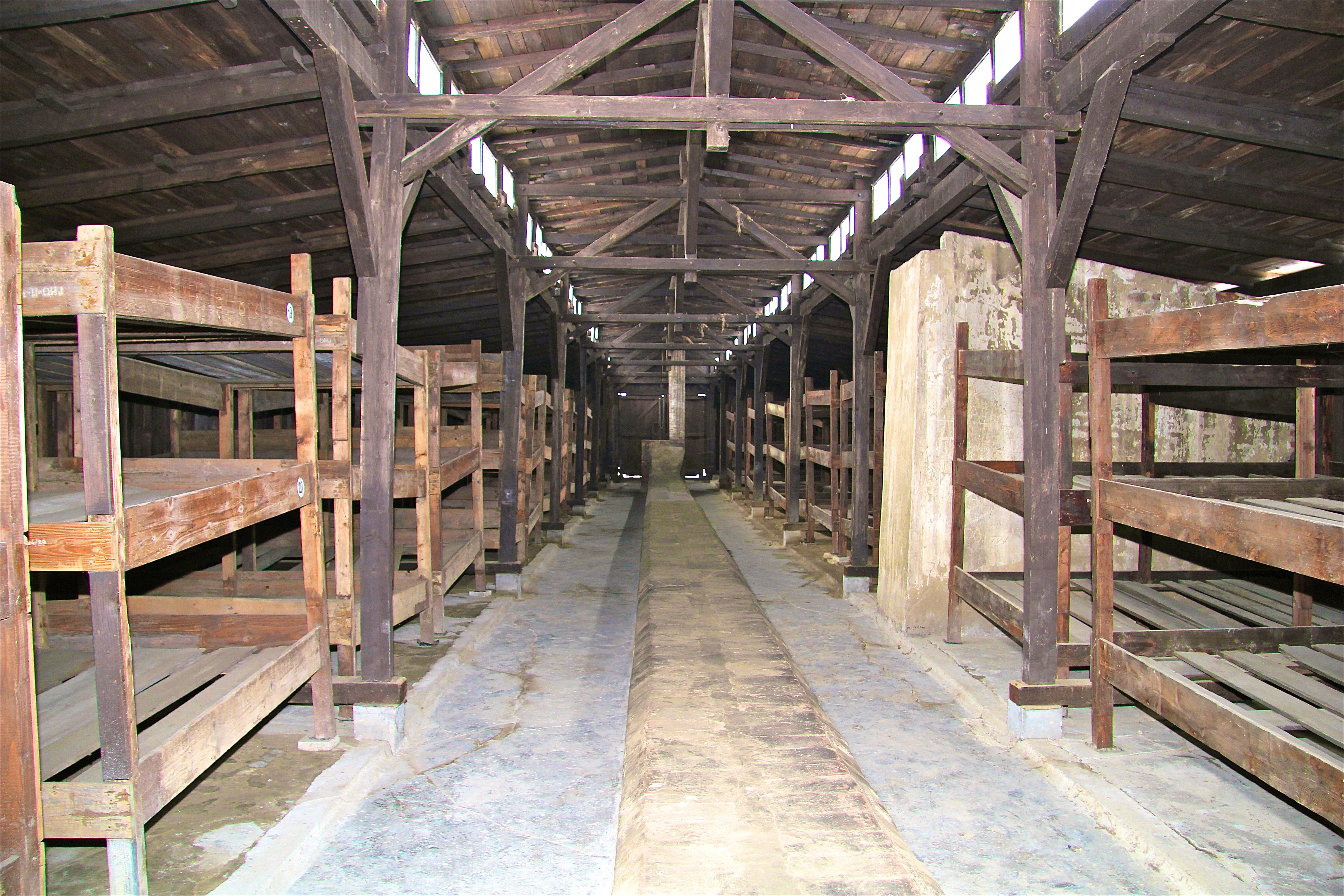 Birkenau, le quartier des hommes