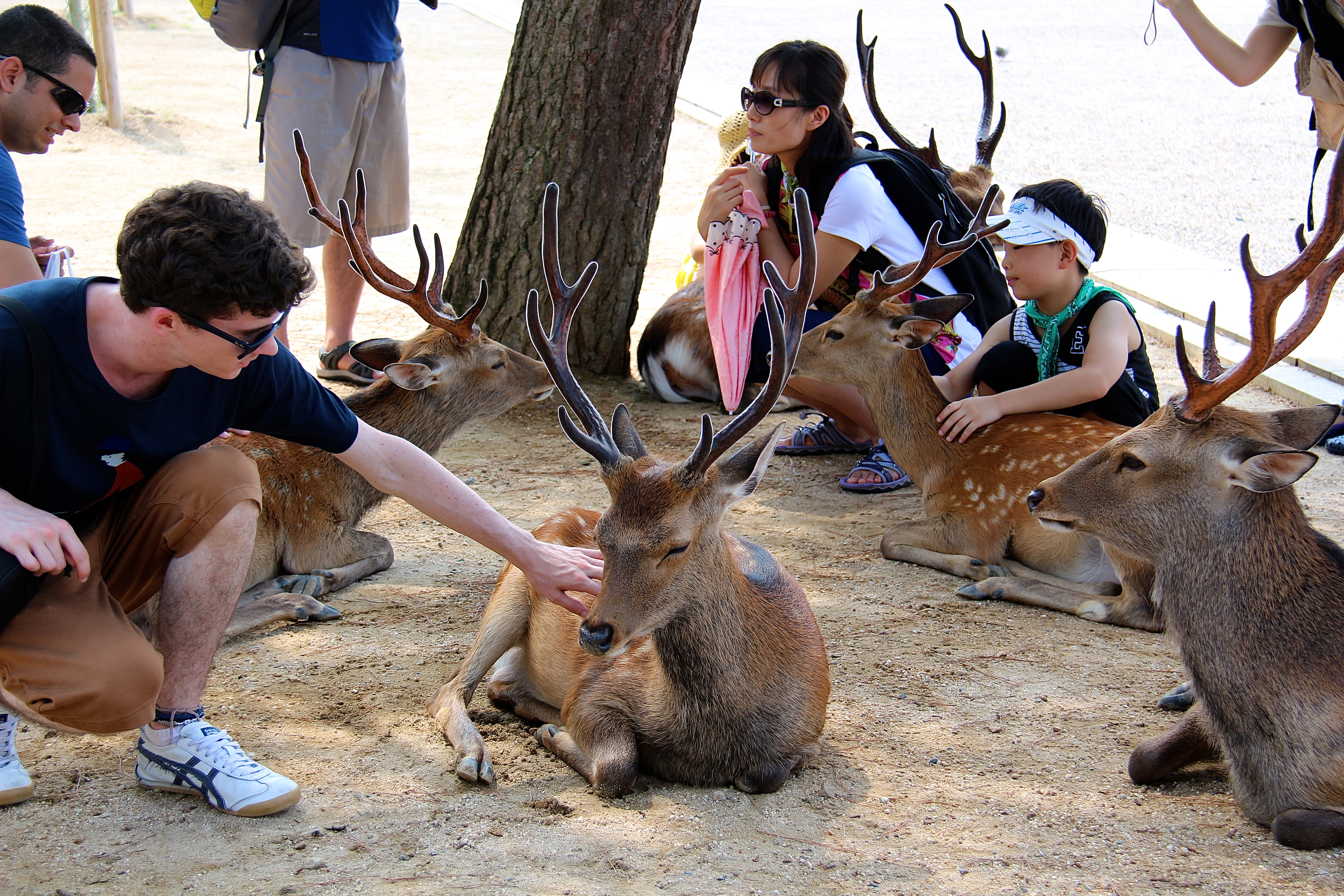 NARA