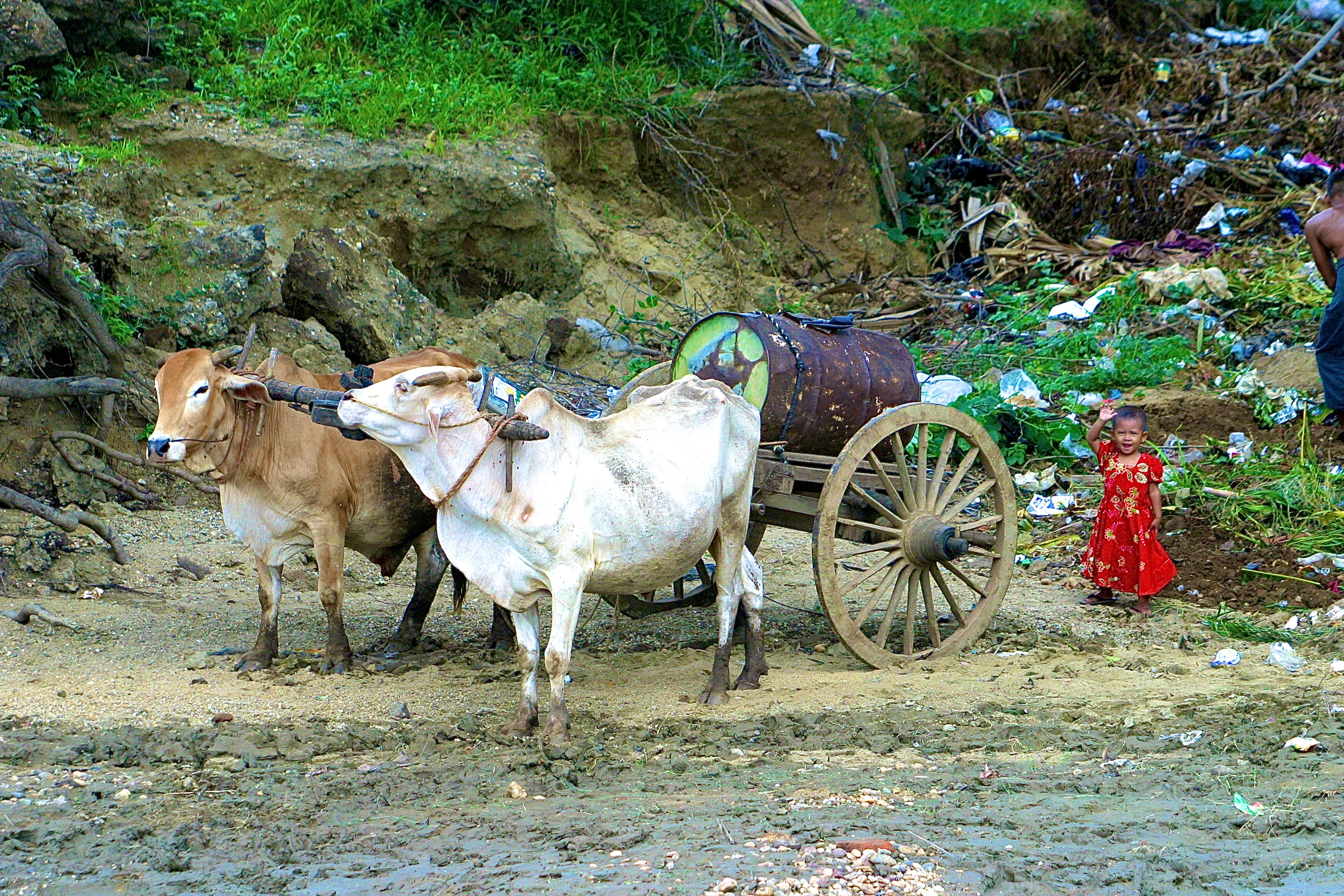 FLEUVE IRRAWADDY