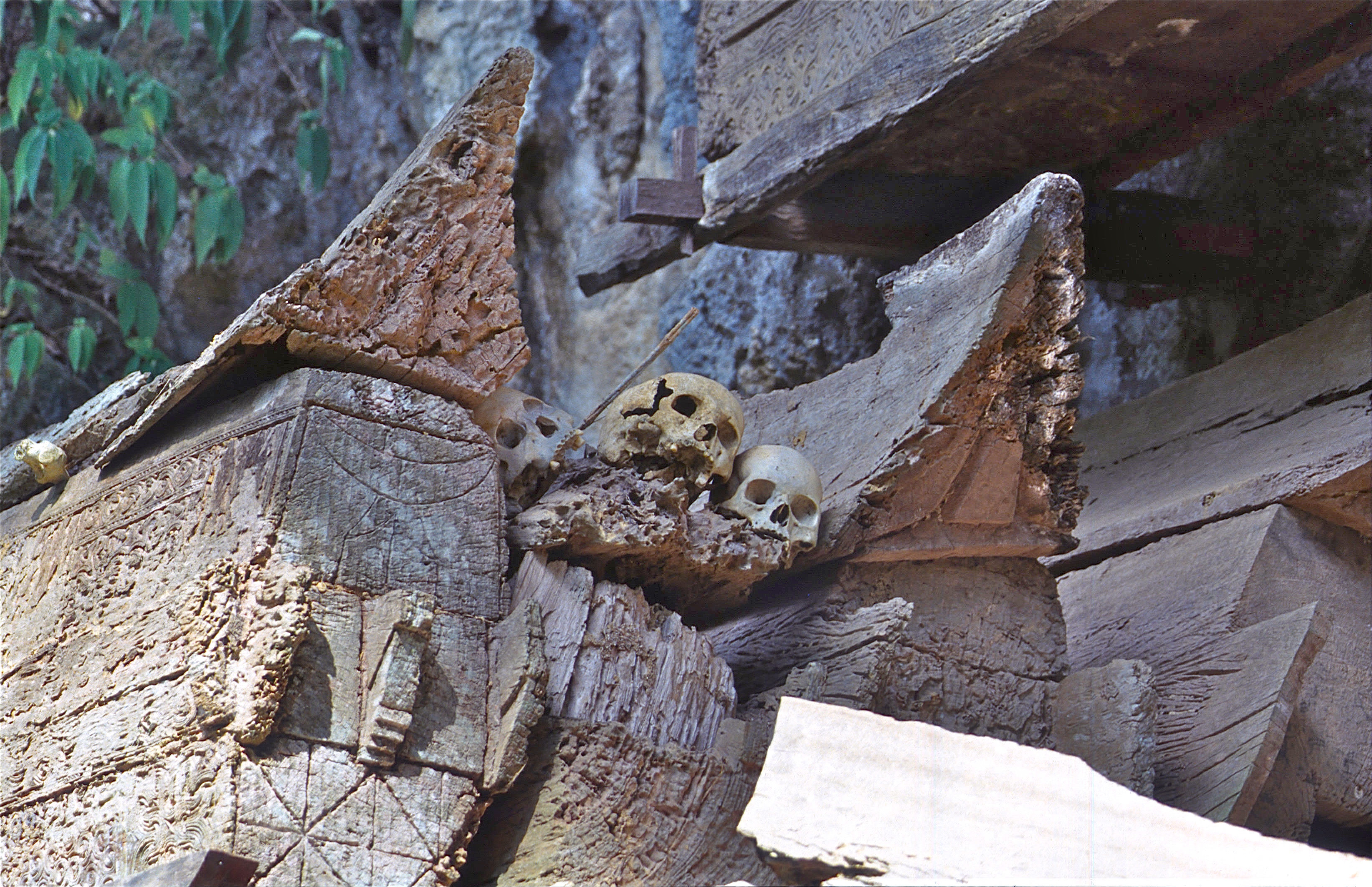 TANA TORAJA