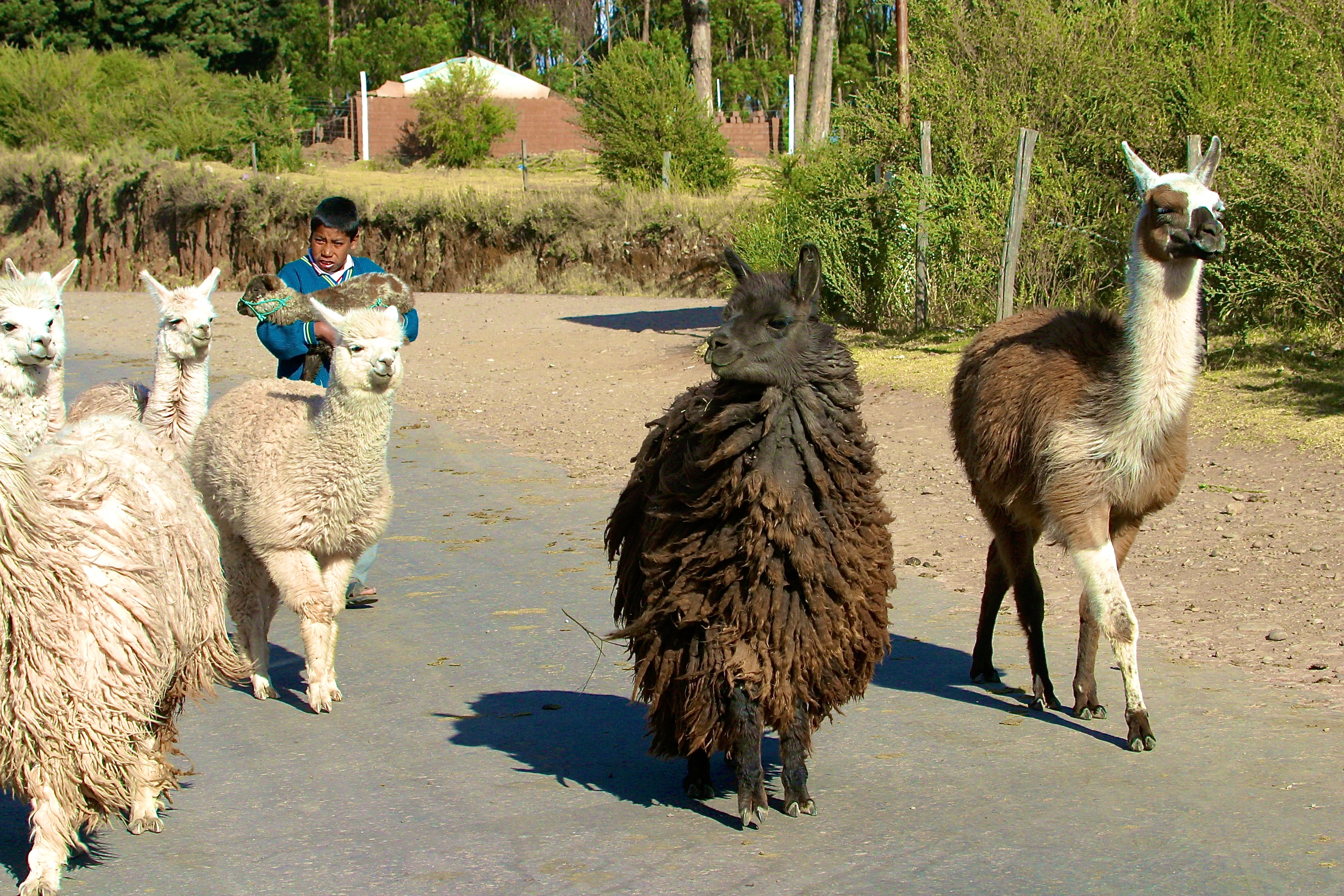SACSAYHUAMÀN