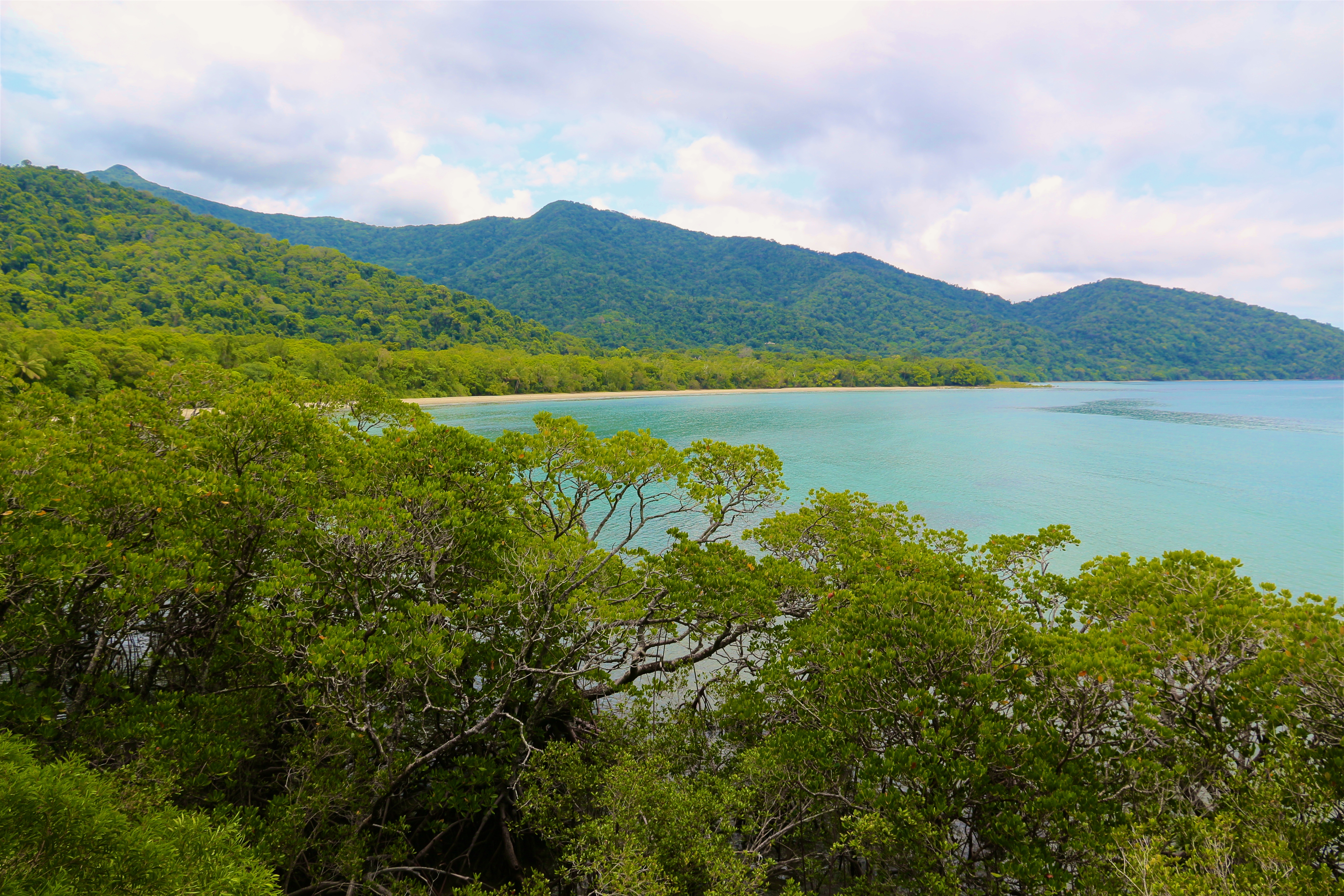 DAINTREE RAINFOREST
